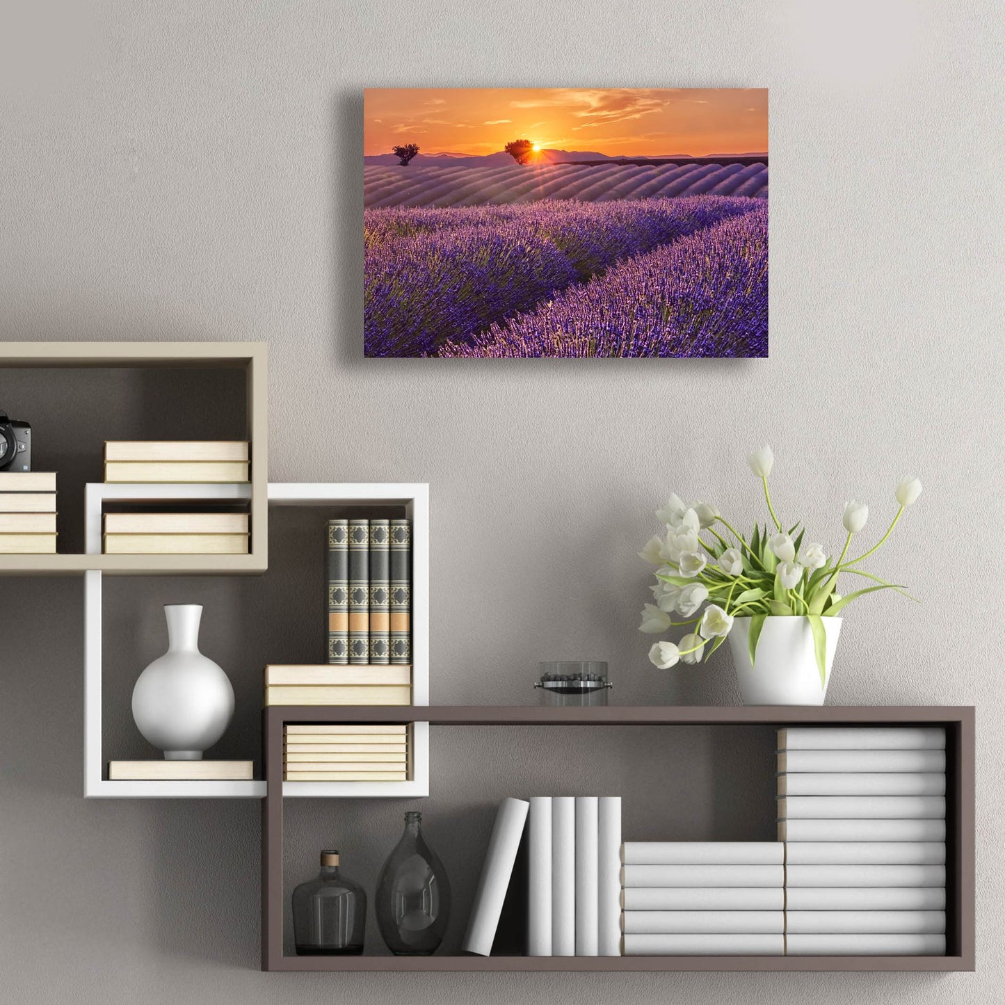 Epic Art 'Lavender Field at Sunset' by Cora Niele, Acrylic Glass Wall Art,24x16