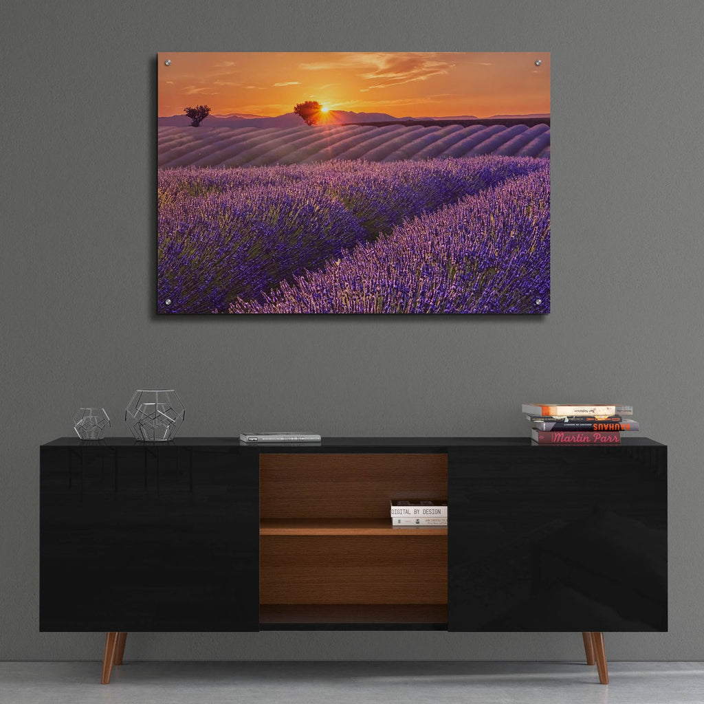 Lavender Field at Sunset by Cora Niele - 36x24 acrylic wall art in a room