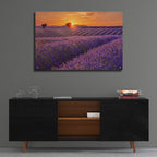 Lavender Field at Sunset by Cora Niele - 36x24 acrylic wall art in a room