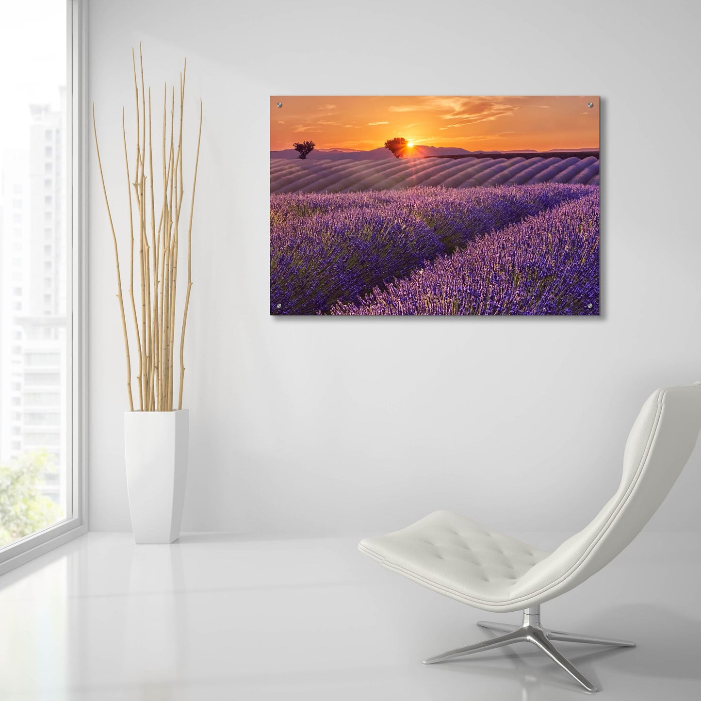 Epic Art 'Lavender Field at Sunset' by Cora Niele, Acrylic Glass Wall Art,36x24