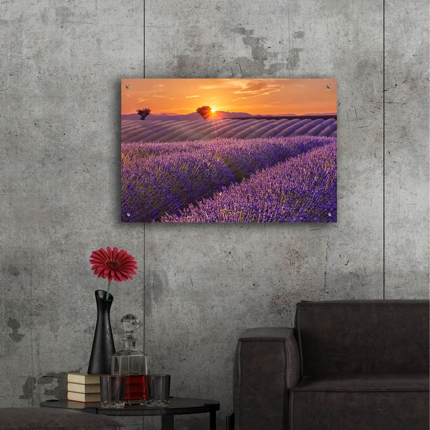 Epic Art 'Lavender Field at Sunset' by Cora Niele, Acrylic Glass Wall Art,36x24