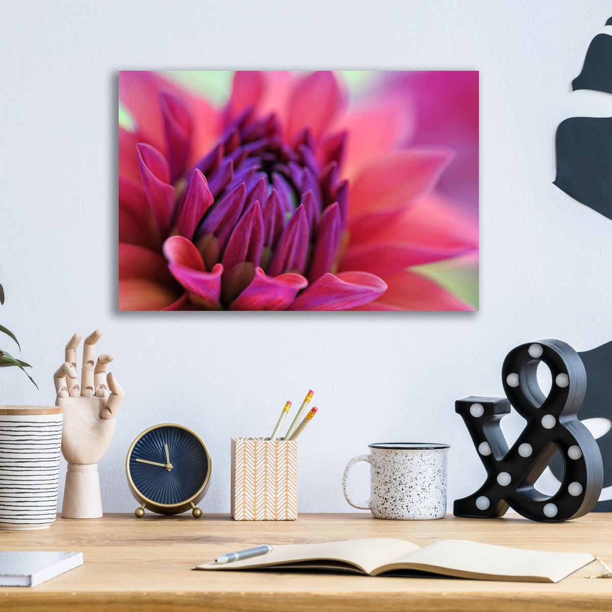 Dahlia Centre Pink Purple by Cora Niele - 16x12 acrylic wall art in a room