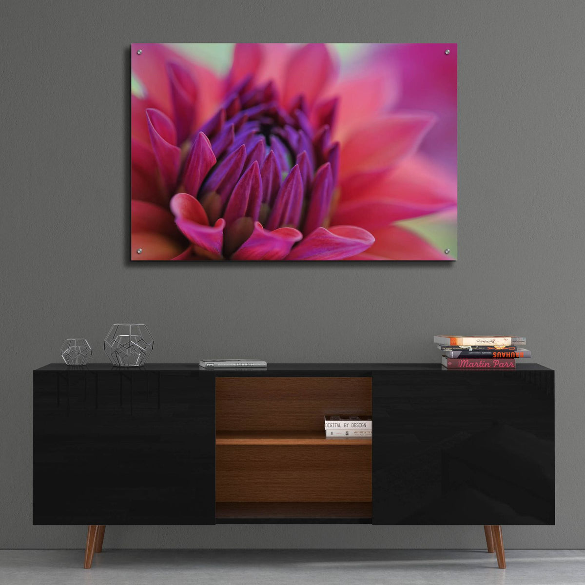 Dahlia Centre Pink Purple by Cora Niele - 36x24 acrylic wall art in a room