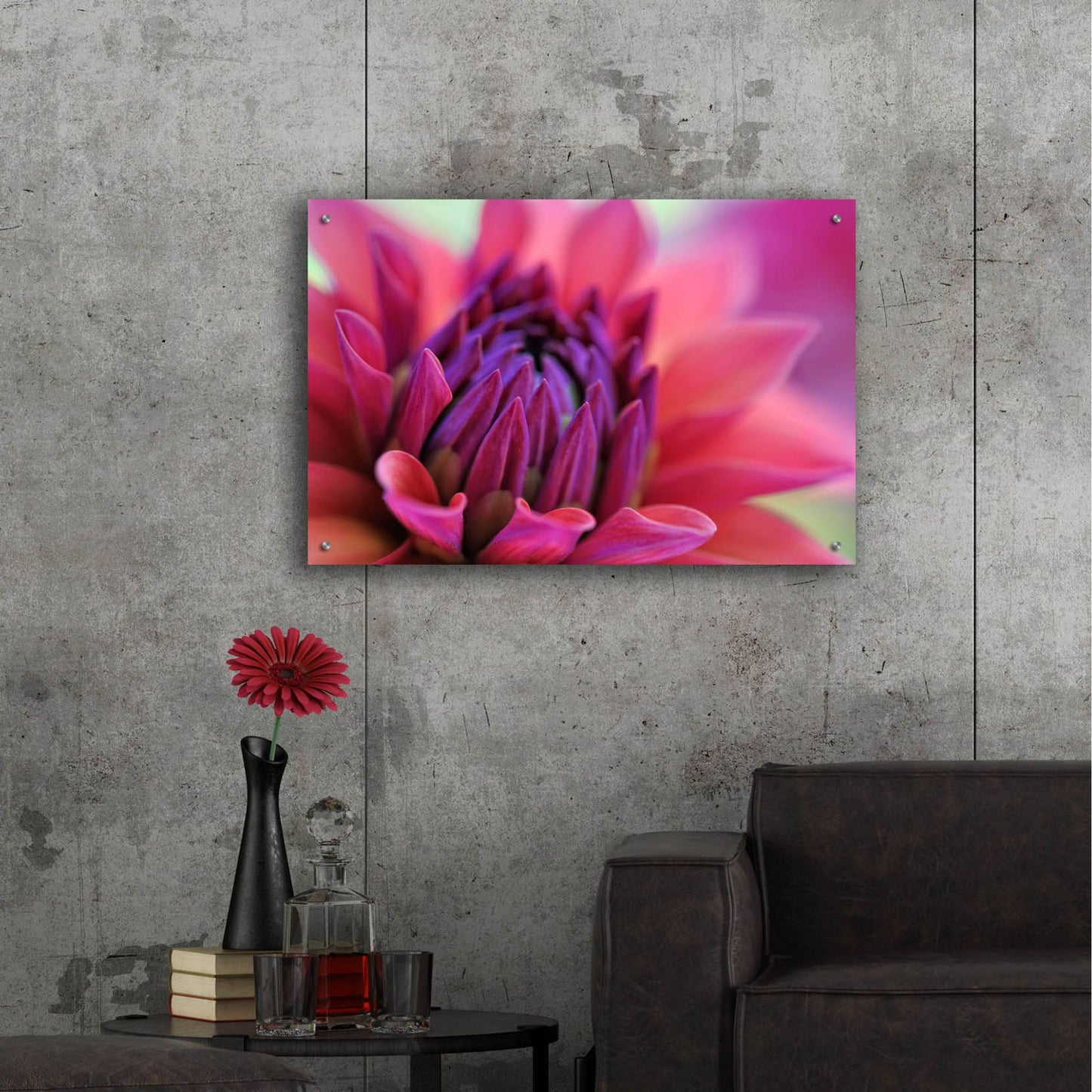 Epic Art 'Dahlia Centre Pink Purple' by Cora Niele, Acrylic Glass Wall Art,36x24