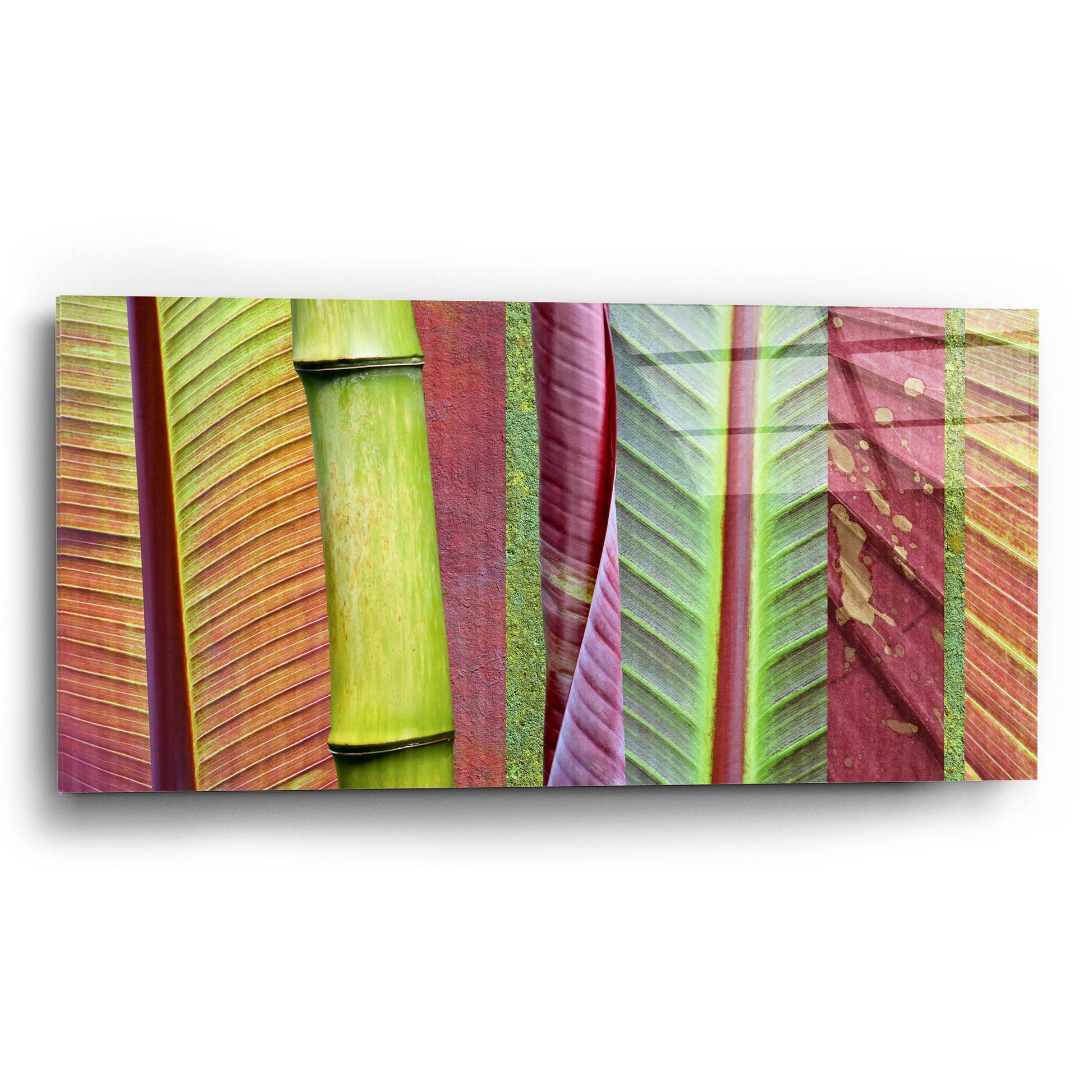 Epic Art 'Green and Red Leaf Collage' by Cora Niele, Acrylic Glass Wall Art,24x12