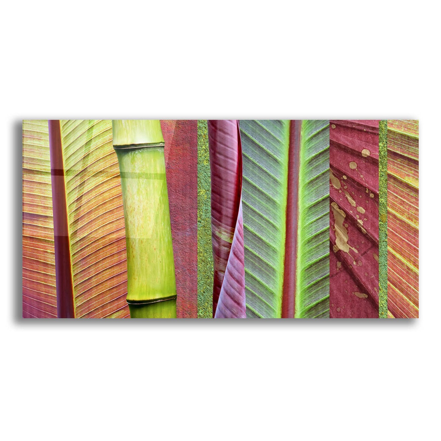 Epic Art 'Green and Red Leaf Collage' by Cora Niele, Acrylic Glass Wall Art,24x12