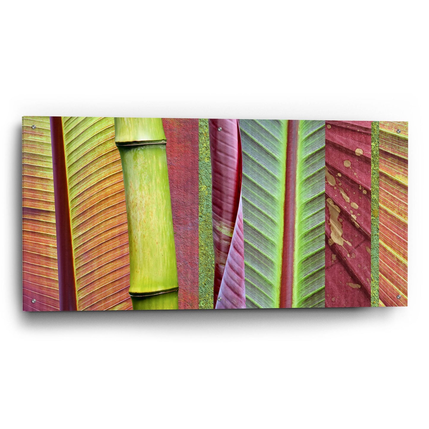 Epic Art 'Green and Red Leaf Collage' by Cora Niele, Acrylic Glass Wall Art,48x24