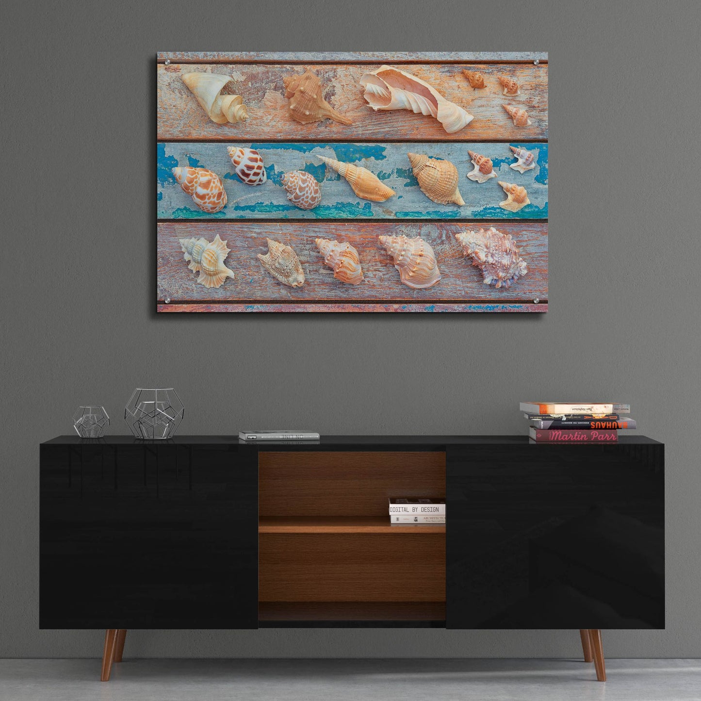 Epic Art 'Sea Snail Shells' by Cora Niele, Acrylic Glass Wall Art,36x24