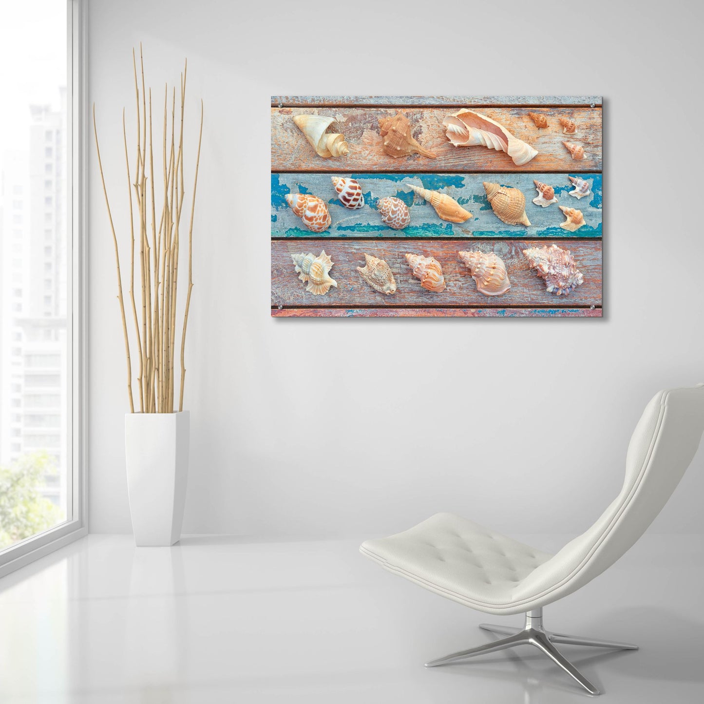 Epic Art 'Sea Snail Shells' by Cora Niele, Acrylic Glass Wall Art,36x24