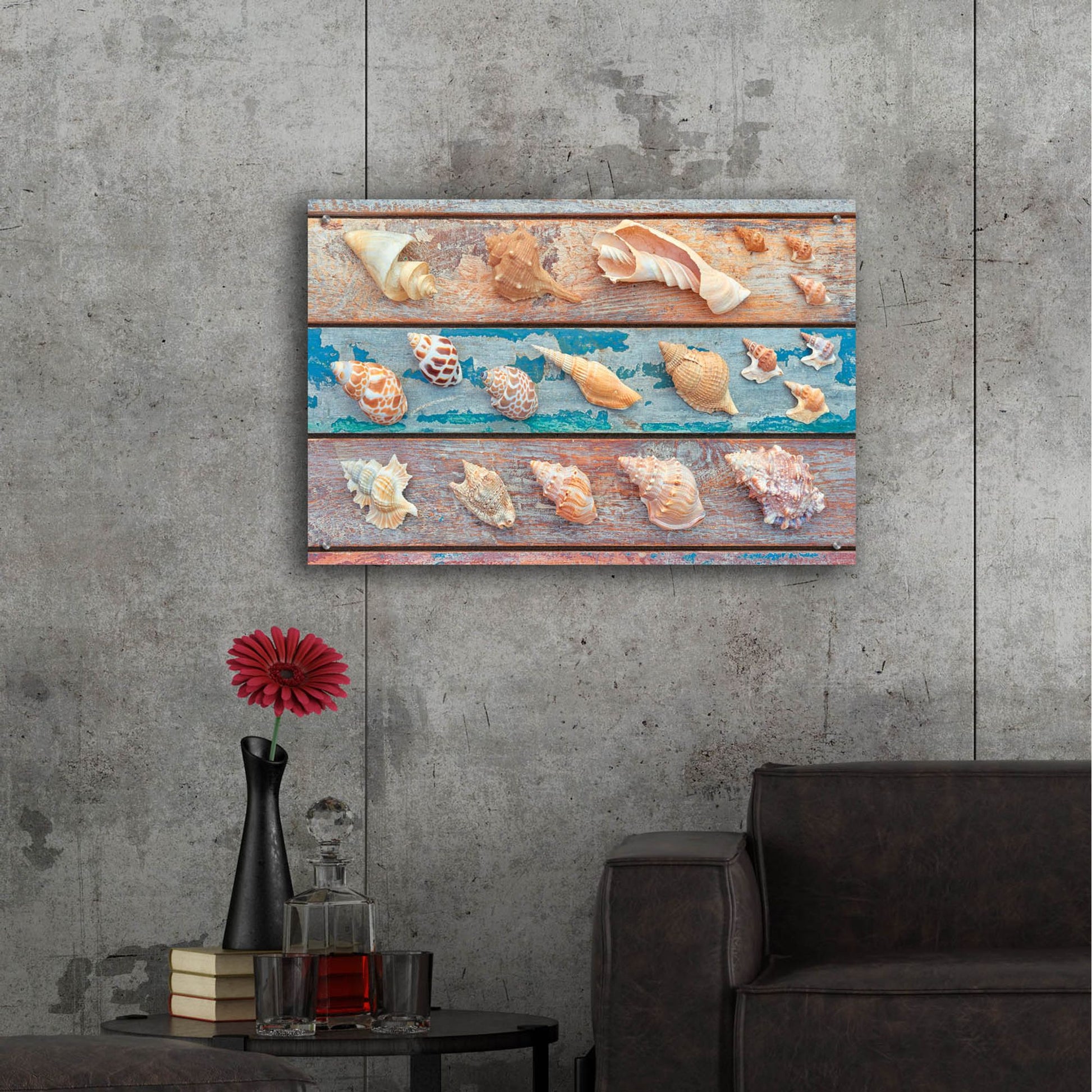 Epic Art 'Sea Snail Shells' by Cora Niele, Acrylic Glass Wall Art,36x24