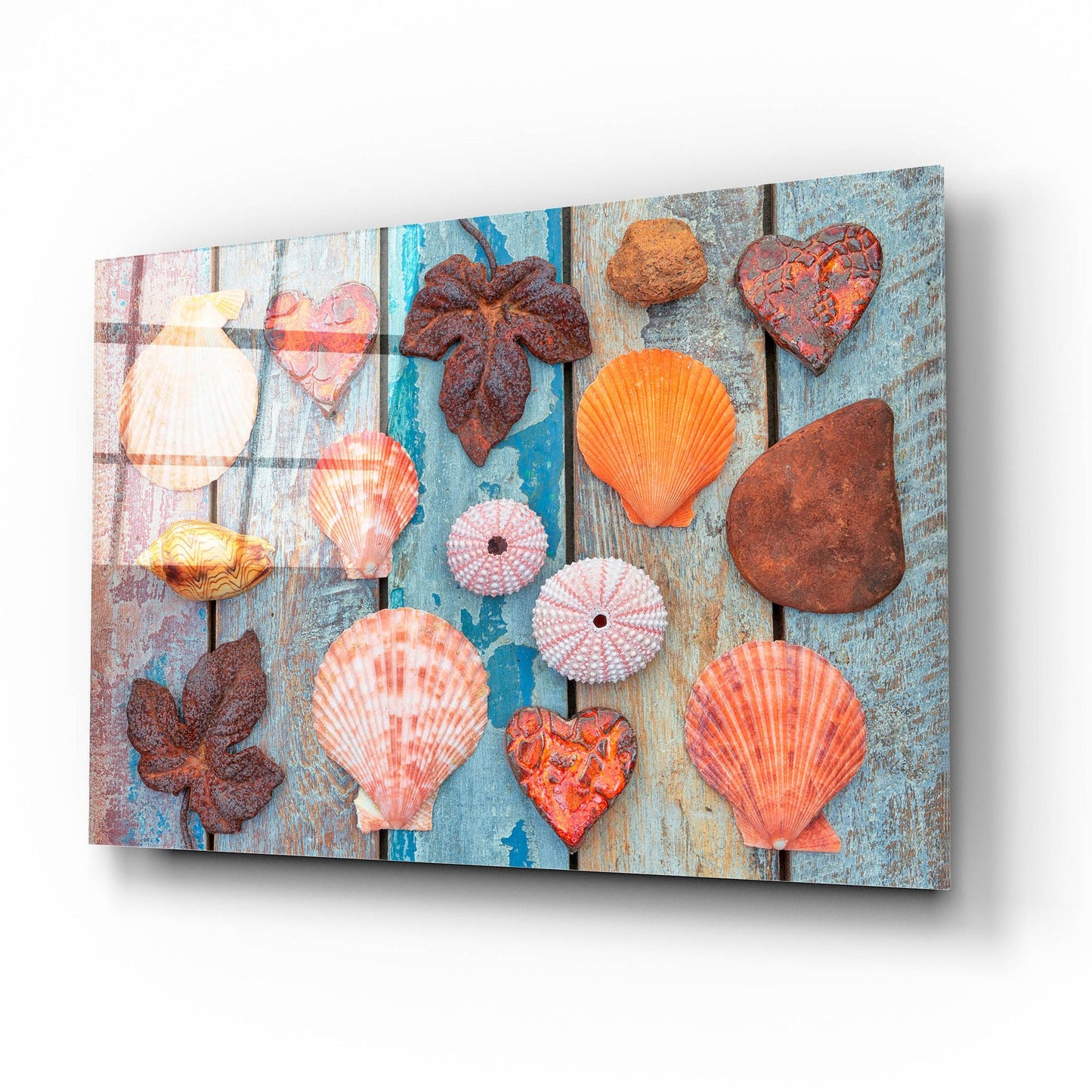 Epic Art 'Shells and Hearts on Planks' by Cora Niele, Acrylic Glass Wall Art,16x12