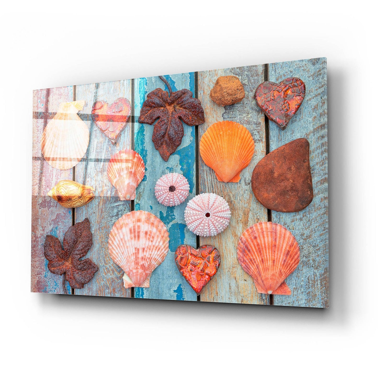 Epic Art 'Shells and Hearts on Planks' by Cora Niele, Acrylic Glass Wall Art,24x16