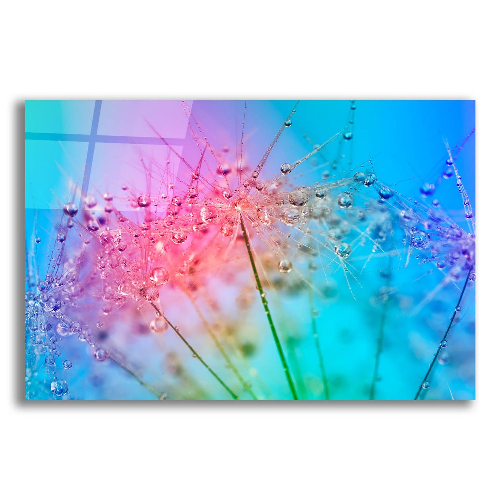 Epic Art 'Rainbow Droplets' by Cora Niele, Acrylic Glass Wall Art,16x12