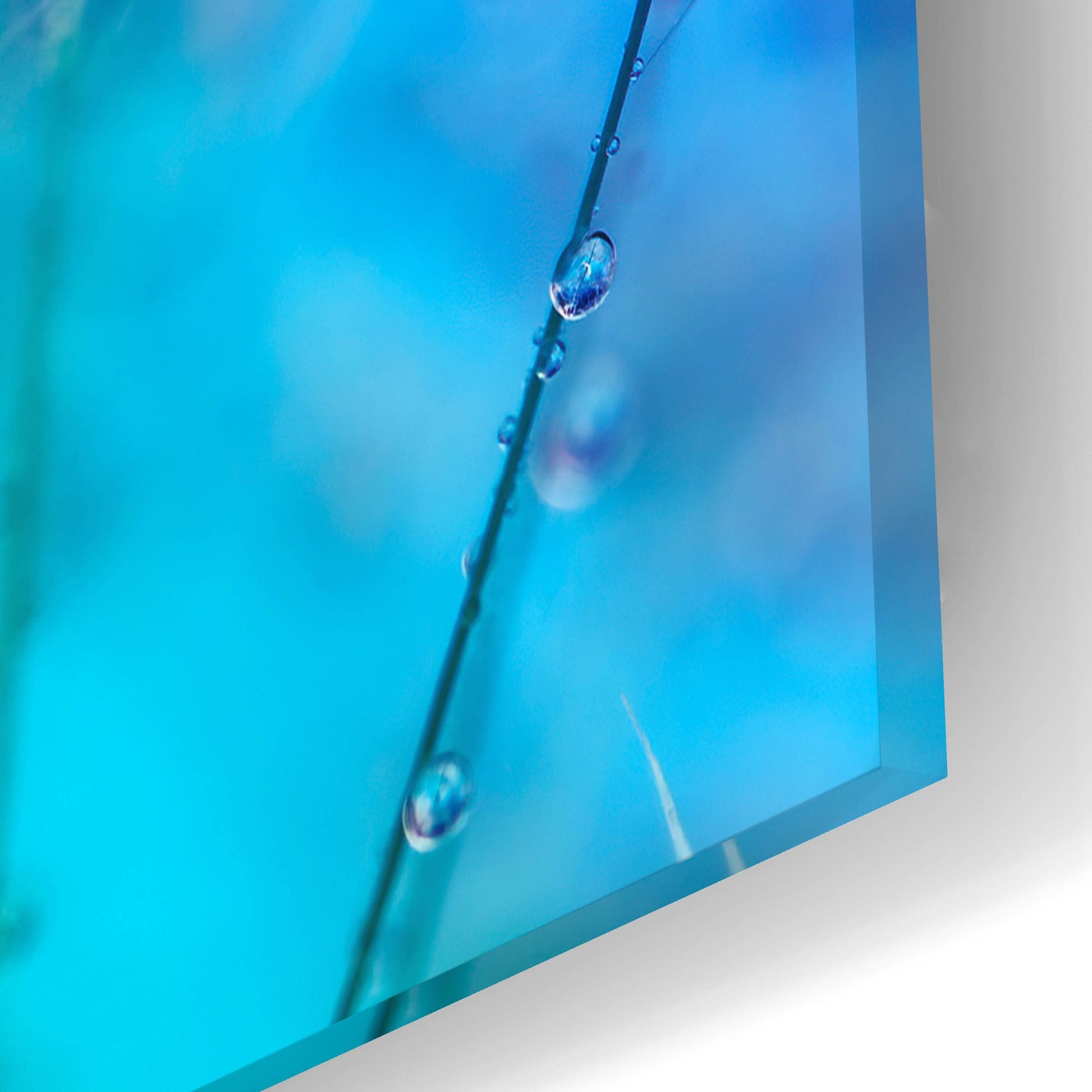 Epic Art 'Rainbow Droplets' by Cora Niele, Acrylic Glass Wall Art,24x16