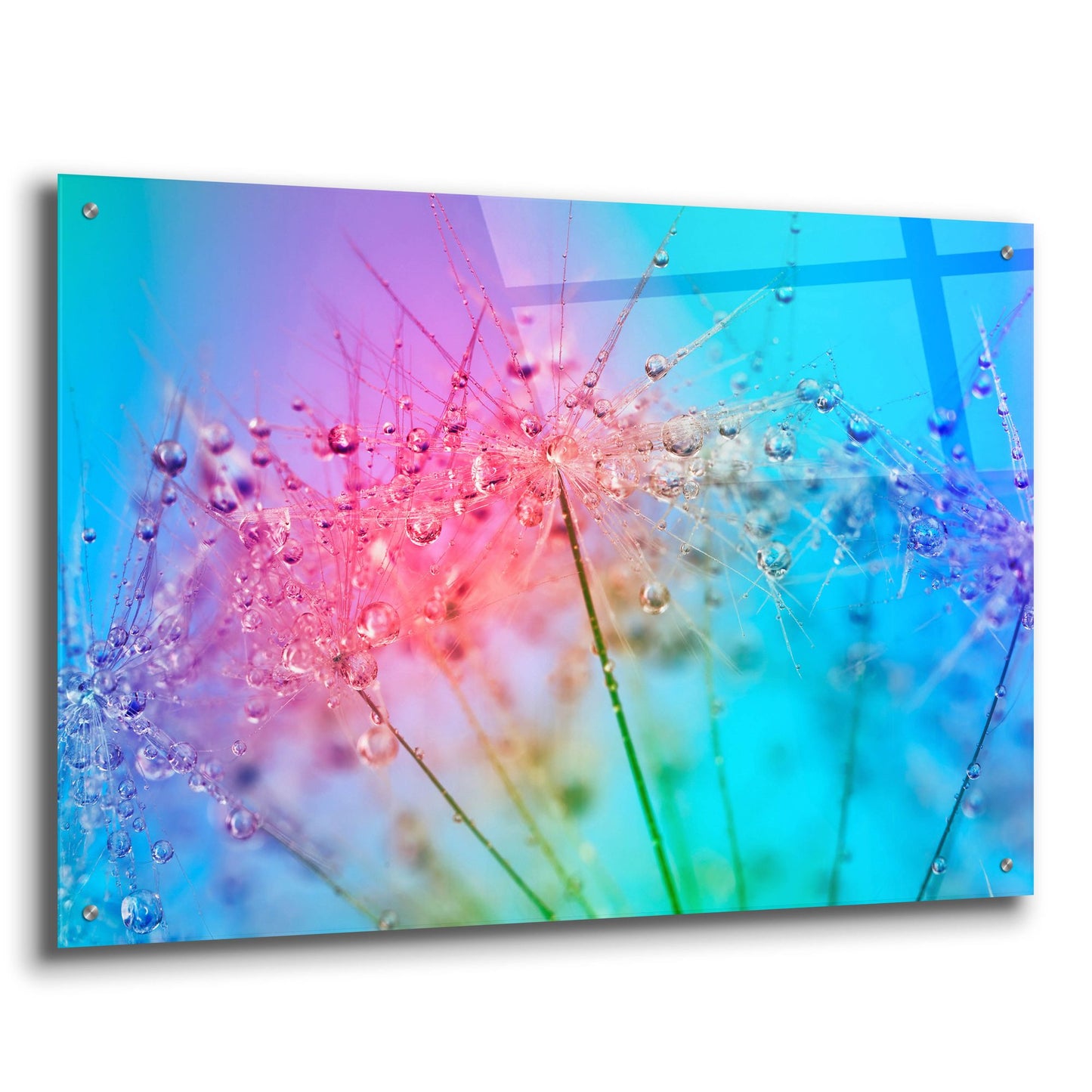 Epic Art 'Rainbow Droplets' by Cora Niele, Acrylic Glass Wall Art,36x24