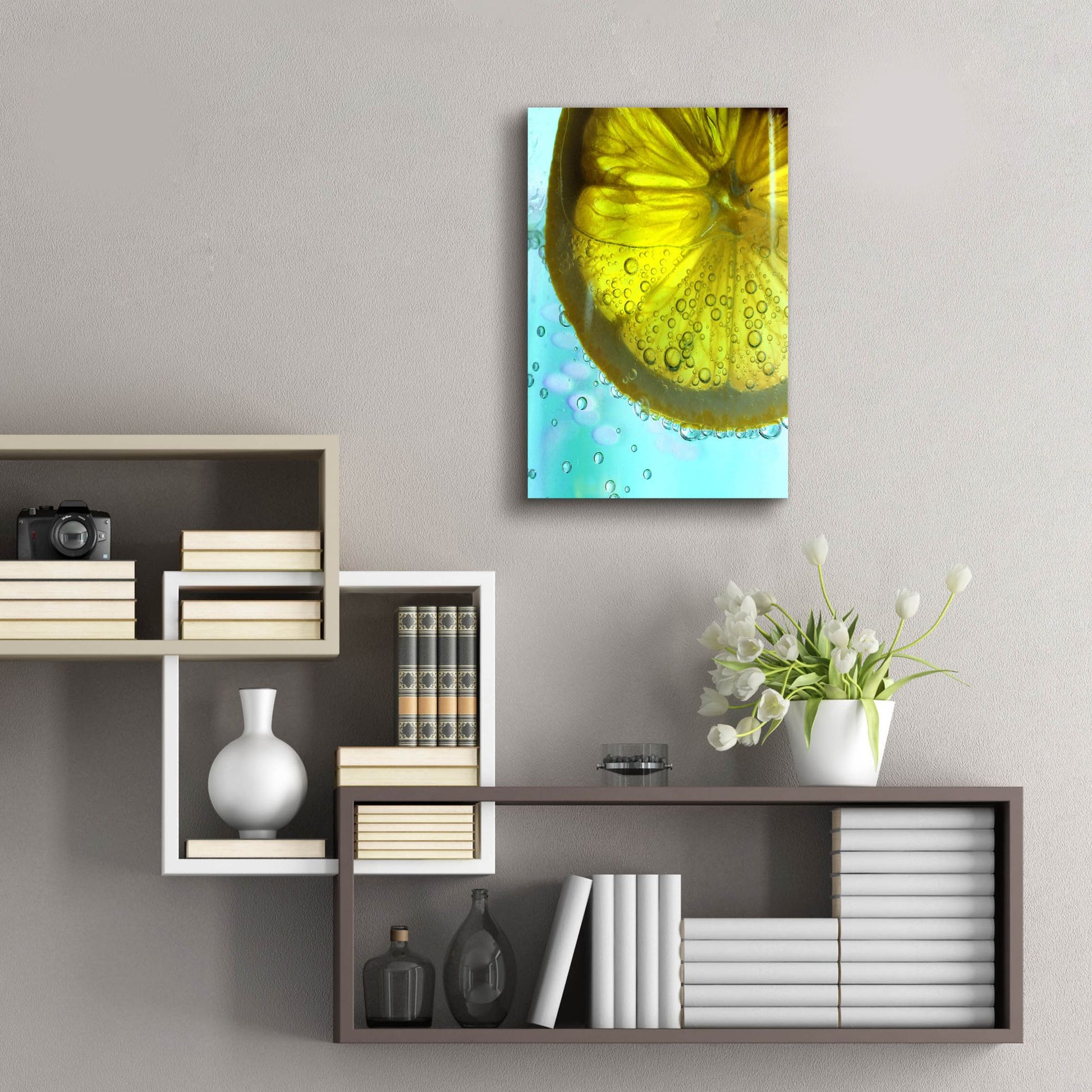 Epic Art 'Lemon Wheel' by Dana Brett Munach, Acrylic Glass Wall Art,16x24