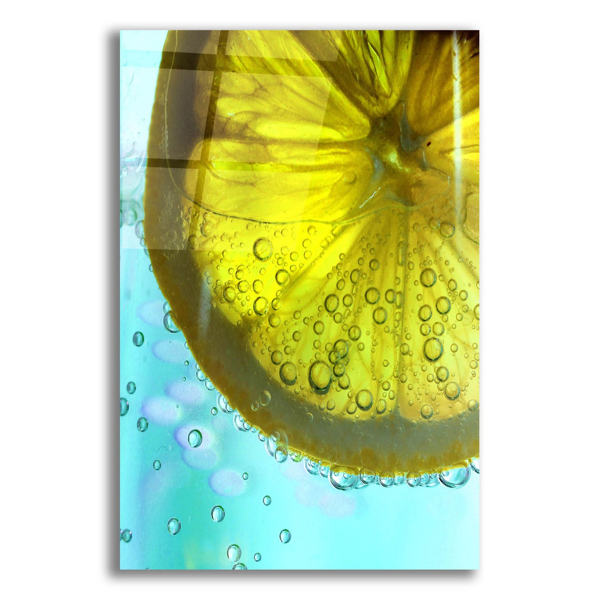 Epic Art 'Lemon Wheel' by Dana Brett Munach, Acrylic Glass Wall Art,16x24