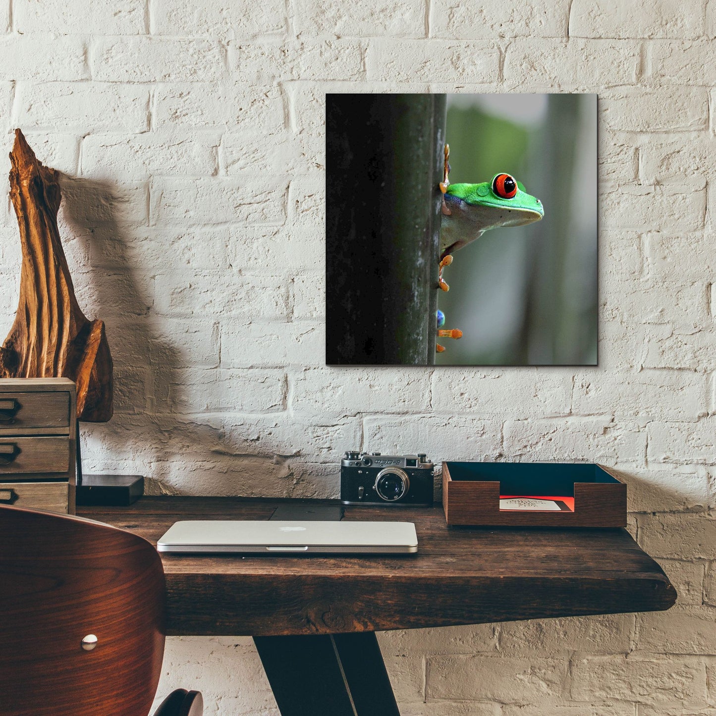 Epic Art 'Red Eyed Tree Frog' by Dana Brett Munach, Acrylic Glass Wall Art,12x12