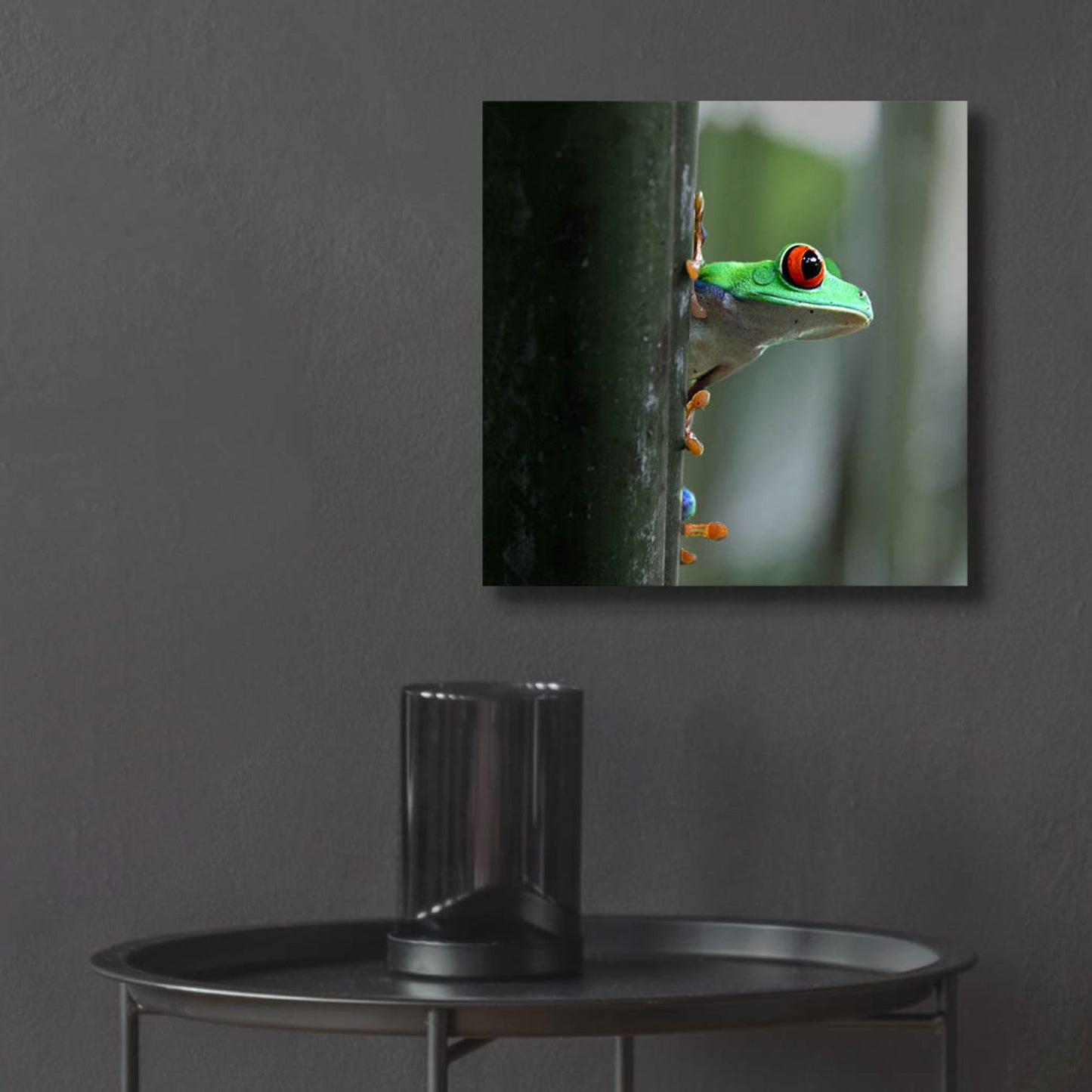 Epic Art 'Red Eyed Tree Frog' by Dana Brett Munach, Acrylic Glass Wall Art,12x12