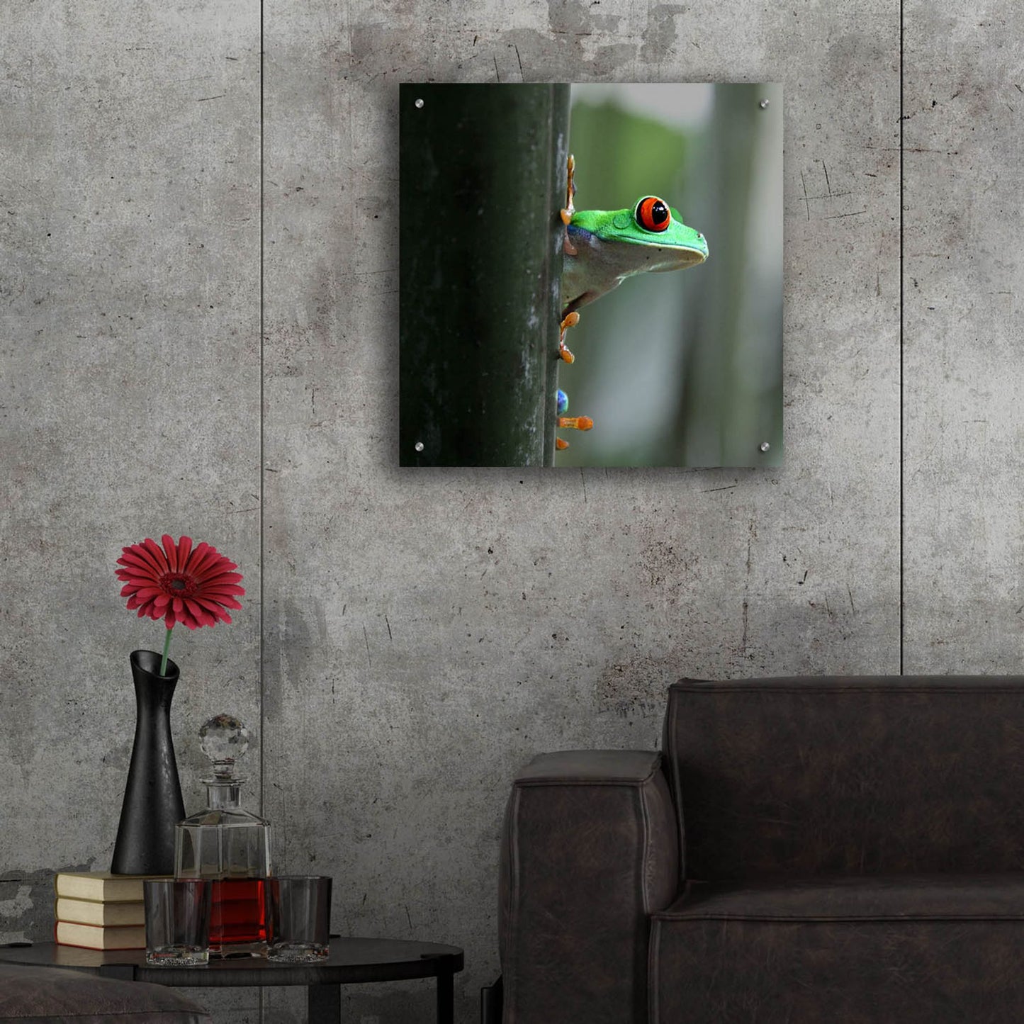 Epic Art 'Red Eyed Tree Frog' by Dana Brett Munach, Acrylic Glass Wall Art,24x24