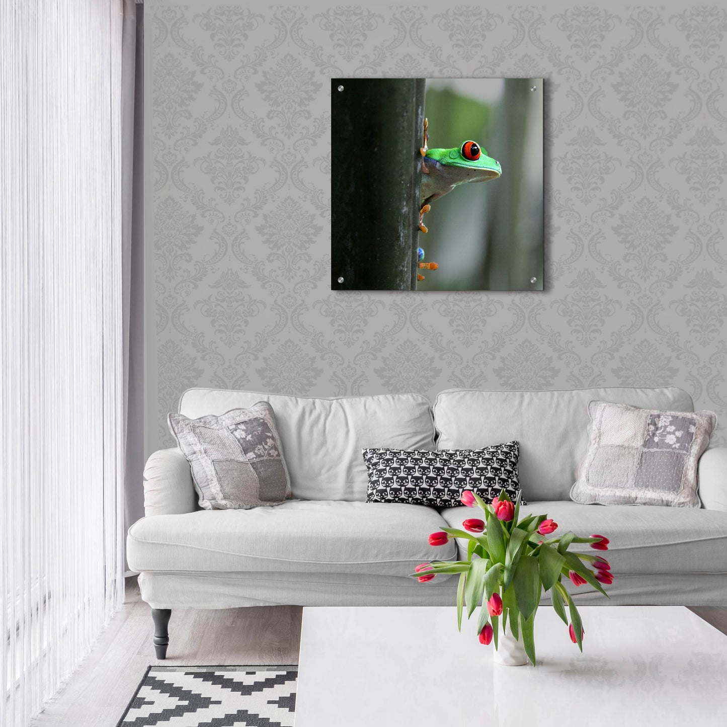 Epic Art 'Red Eyed Tree Frog' by Dana Brett Munach, Acrylic Glass Wall Art,24x24