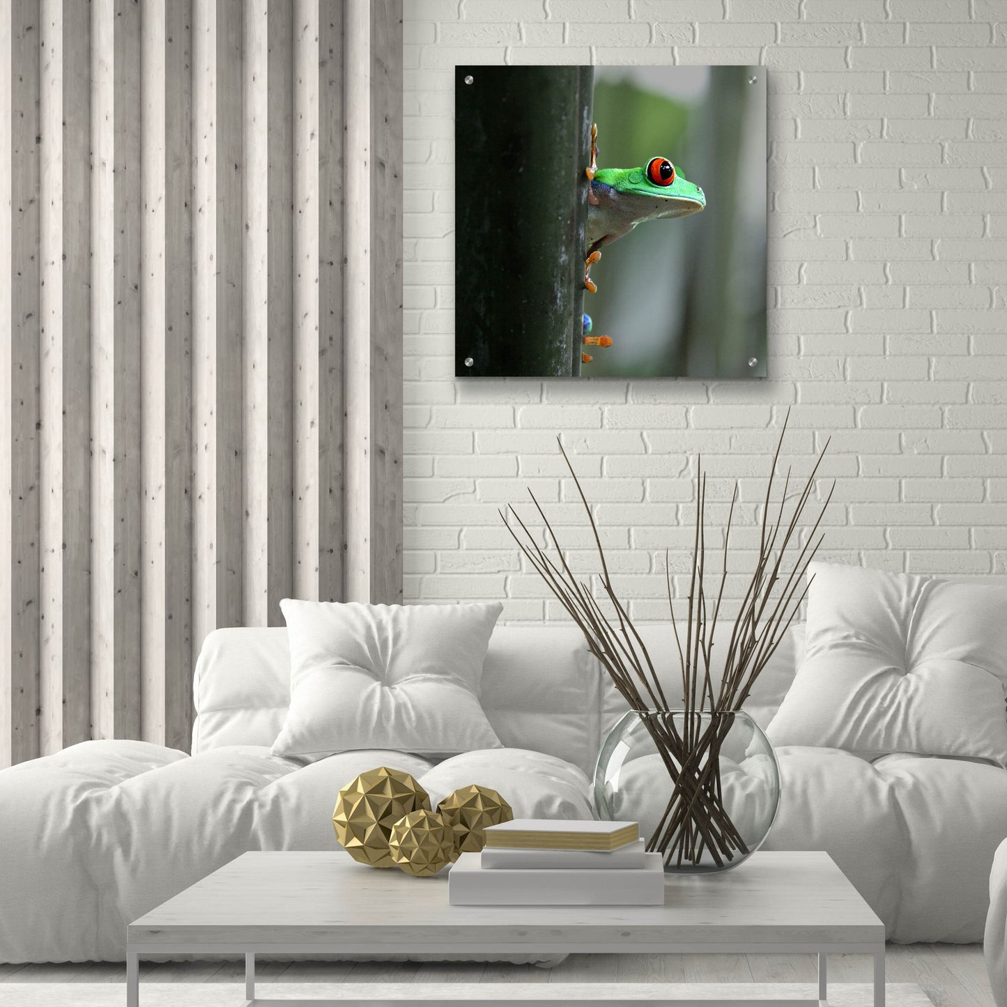 Epic Art 'Red Eyed Tree Frog' by Dana Brett Munach, Acrylic Glass Wall Art,24x24