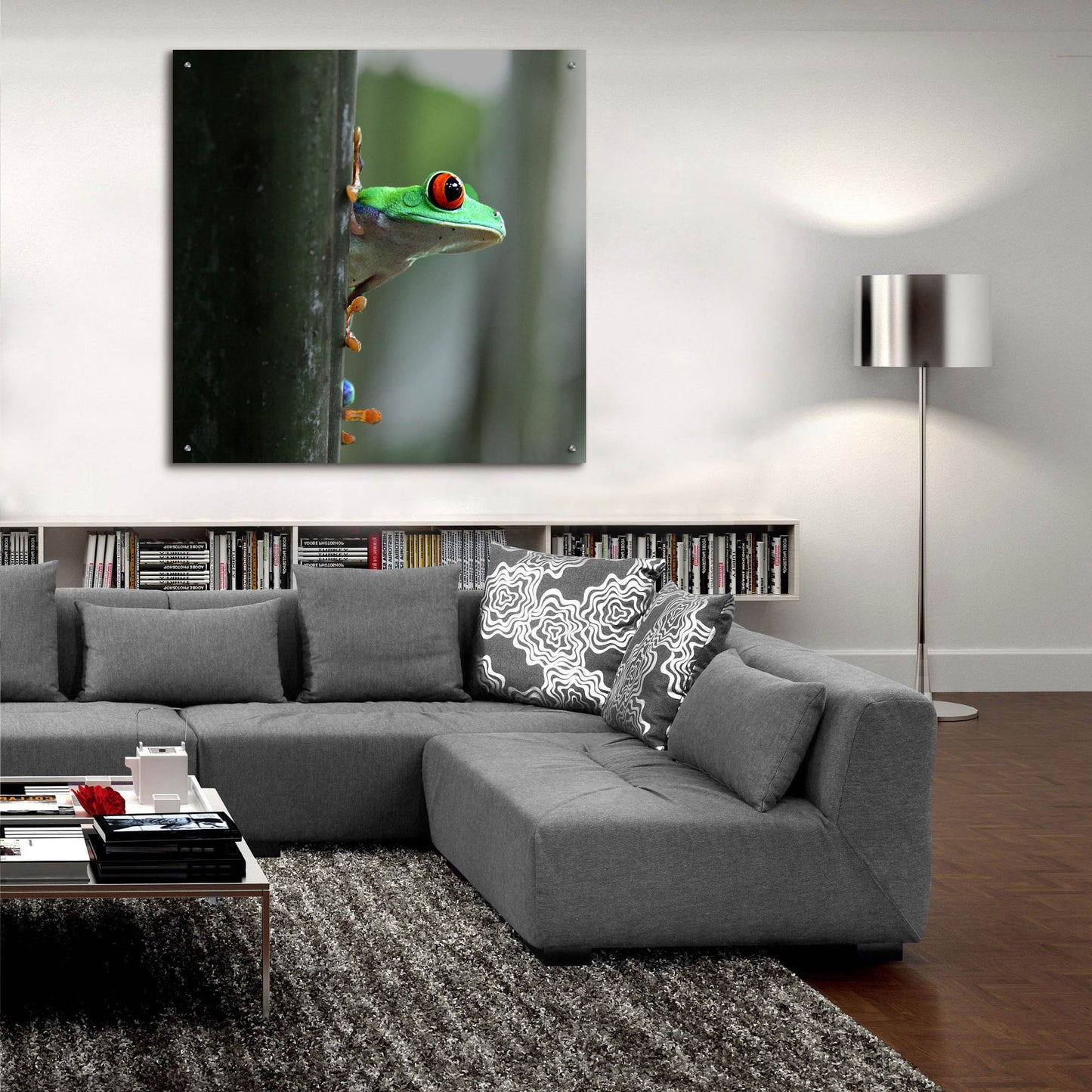 Epic Art 'Red Eyed Tree Frog' by Dana Brett Munach, Acrylic Glass Wall Art,36x36