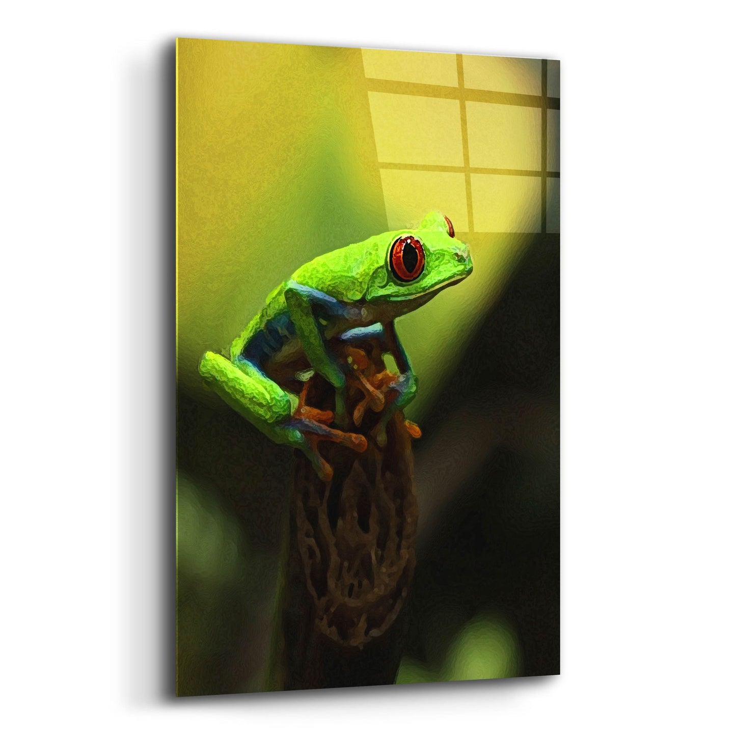 Epic Art 'Tree Frog' by Dana Brett Munach, Acrylic Glass Wall Art,12x16