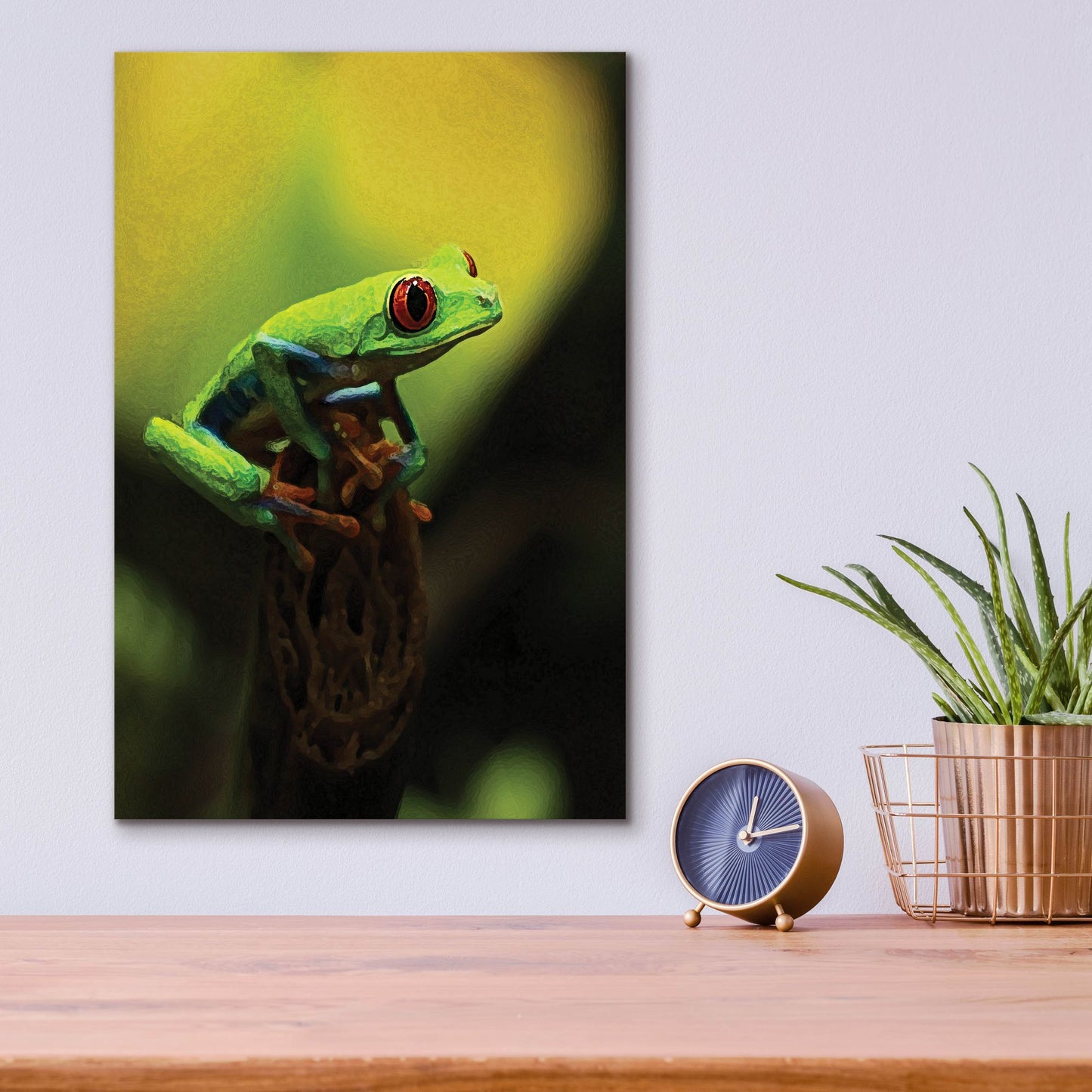 Epic Art 'Tree Frog' by Dana Brett Munach, Acrylic Glass Wall Art,12x16