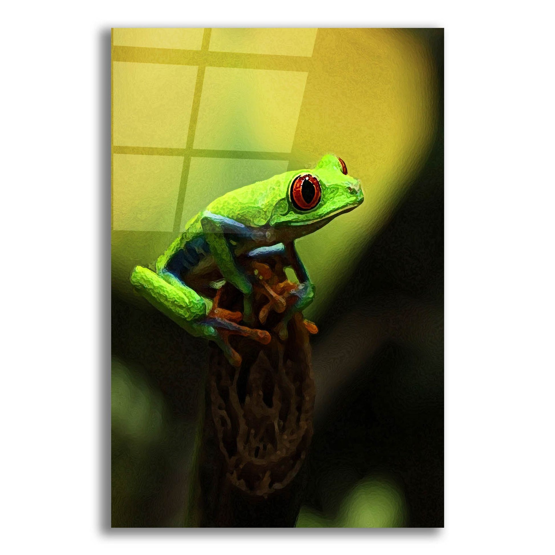 Epic Art 'Tree Frog' by Dana Brett Munach, Acrylic Glass Wall Art,12x16