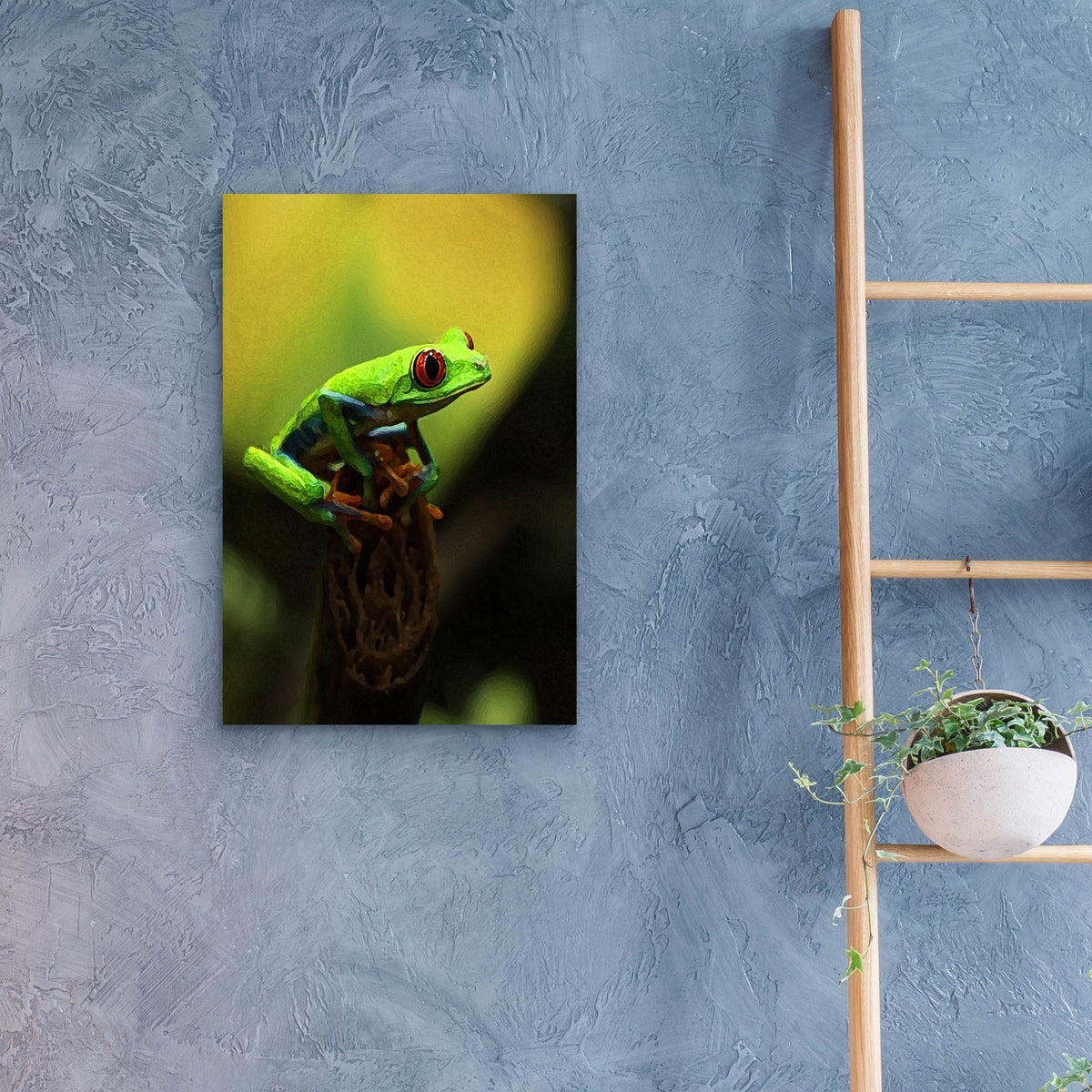 Epic Art 'Tree Frog' by Dana Brett Munach, Acrylic Glass Wall Art,16x24