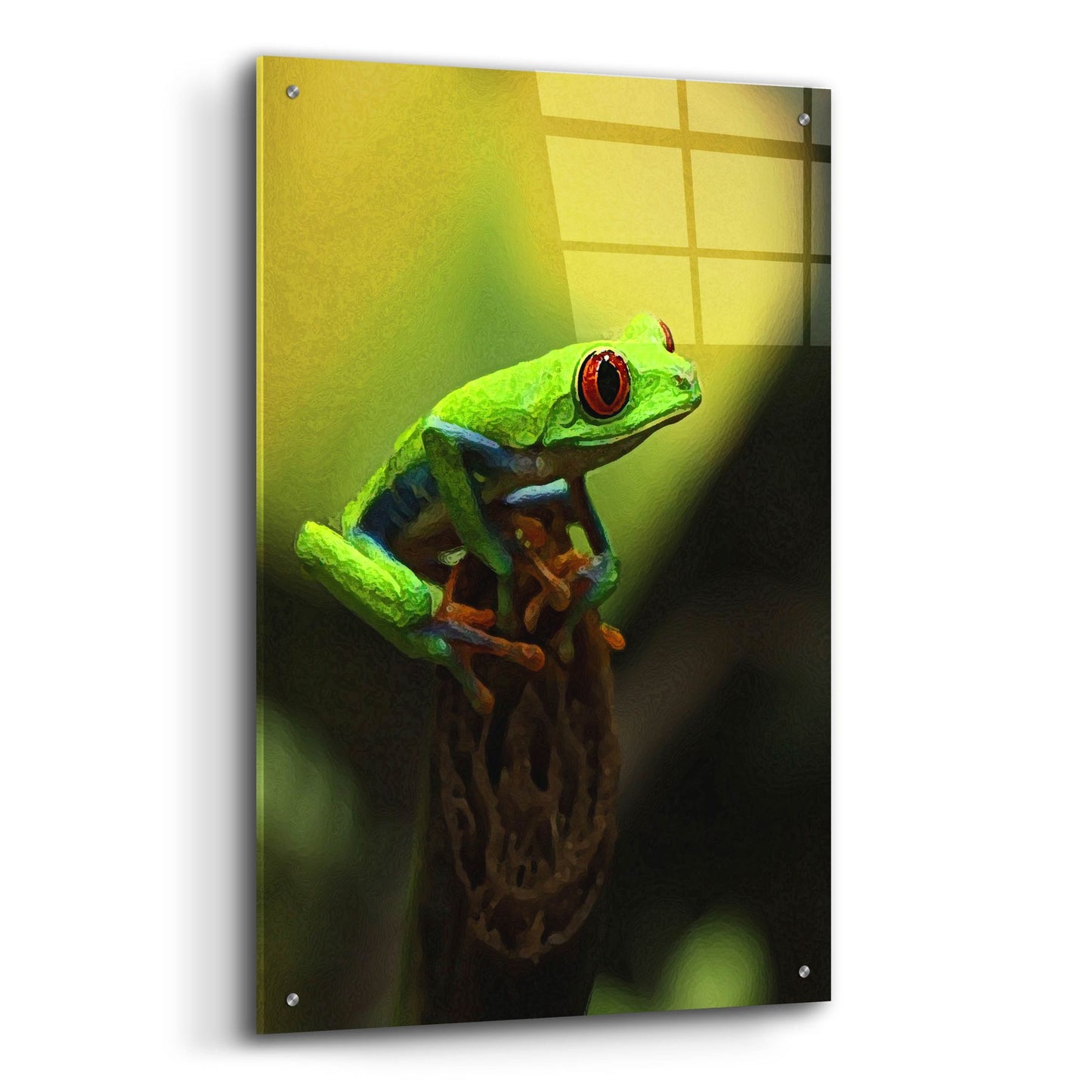 Epic Art 'Tree Frog' by Dana Brett Munach, Acrylic Glass Wall Art,24x36