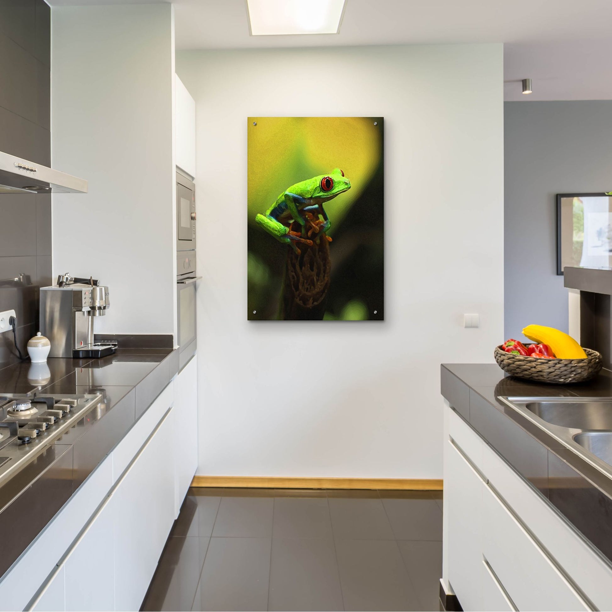 Epic Art 'Tree Frog' by Dana Brett Munach, Acrylic Glass Wall Art,24x36