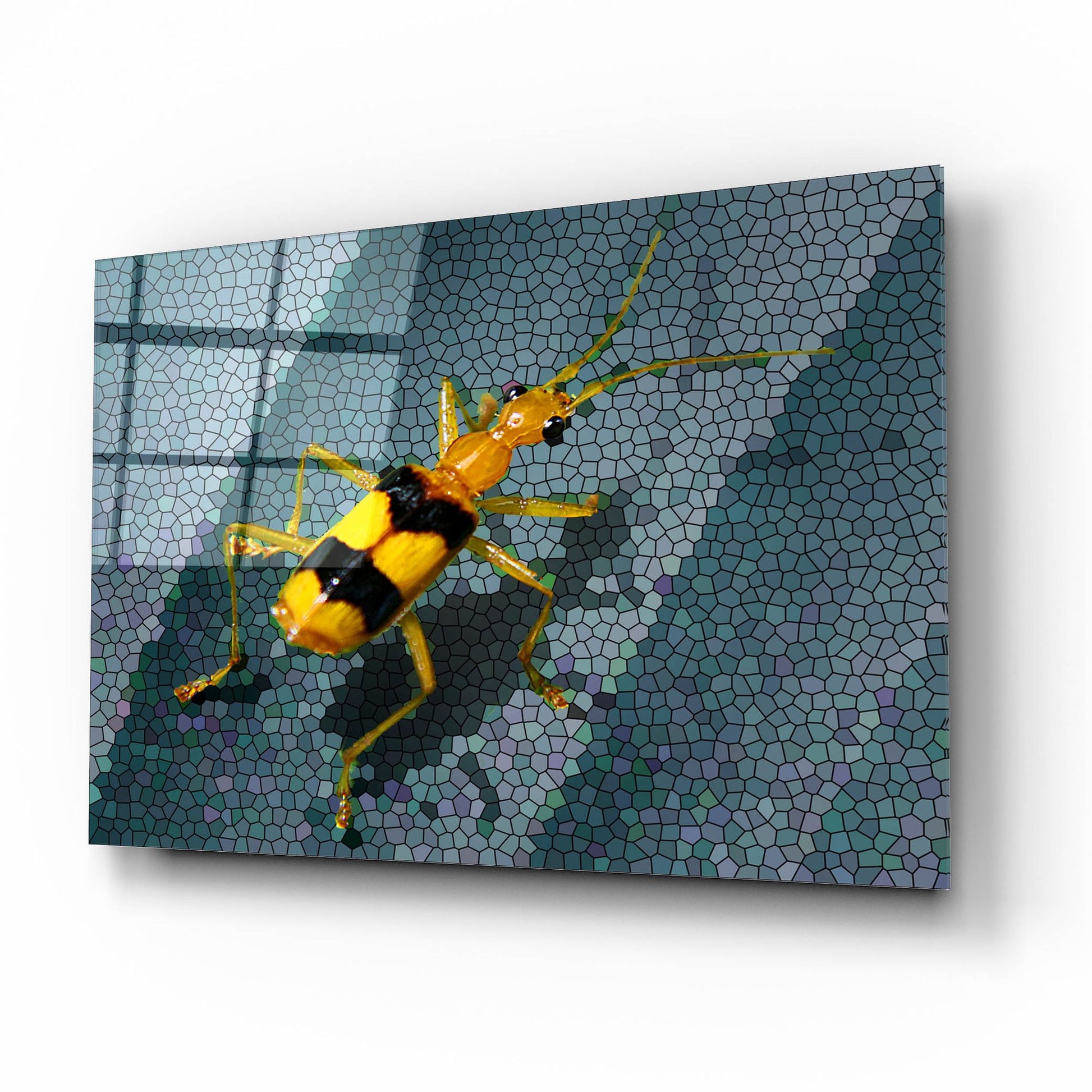 Epic Art 'Yellow Bug' by Dana Brett Munach, Acrylic Glass Wall Art,16x12