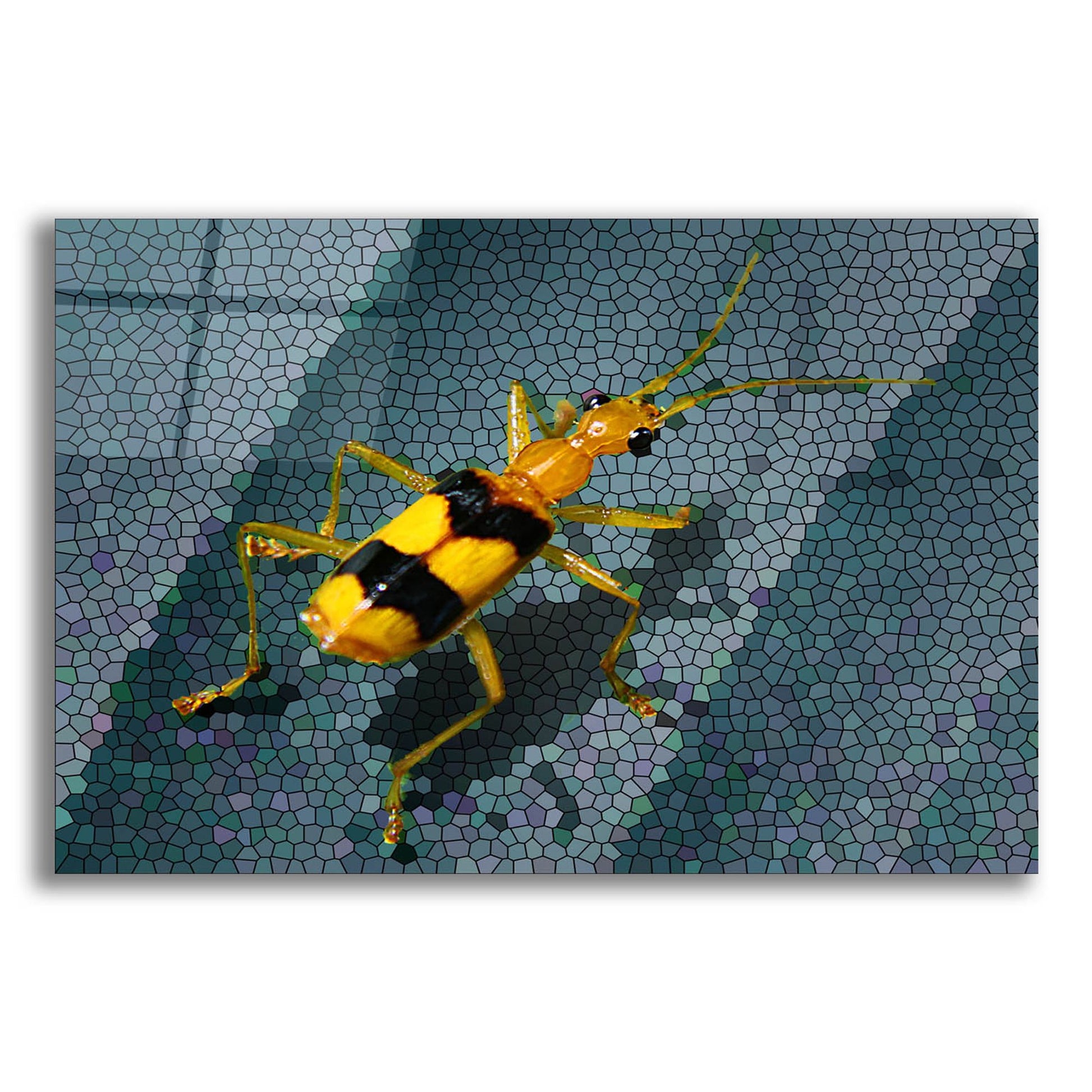 Epic Art 'Yellow Bug' by Dana Brett Munach, Acrylic Glass Wall Art,16x12