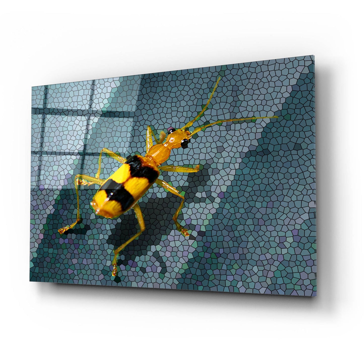 Epic Art 'Yellow Bug' by Dana Brett Munach, Acrylic Glass Wall Art,24x16