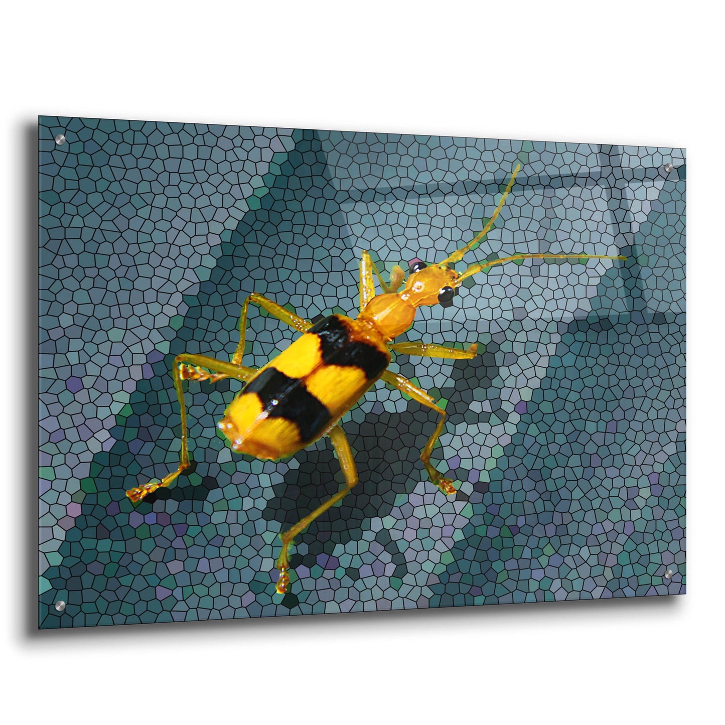 Epic Art 'Yellow Bug' by Dana Brett Munach, Acrylic Glass Wall Art,36x24