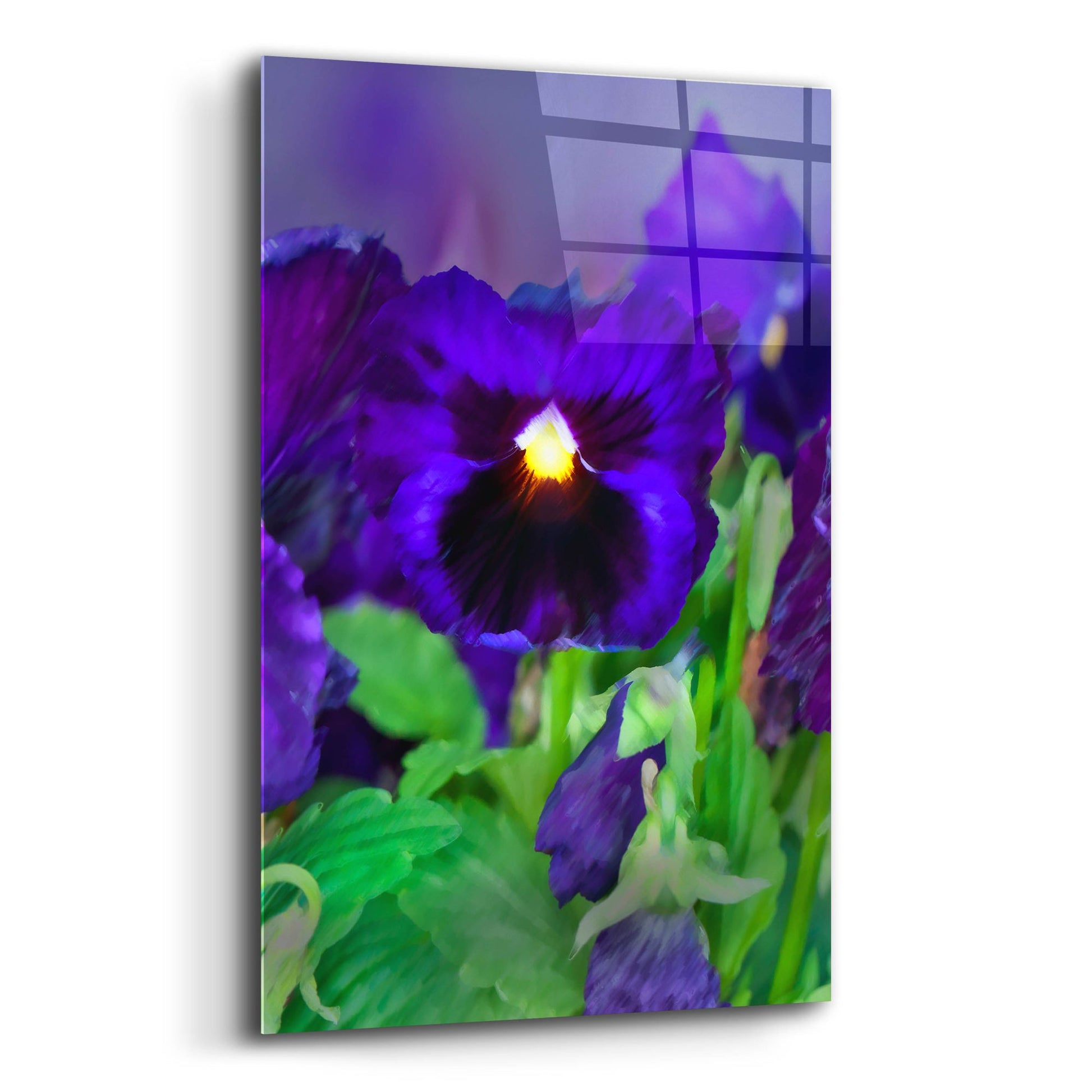 Epic Art 'African Pan Orchid' by Dana Brett Munach, Acrylic Glass Wall Art,12x16