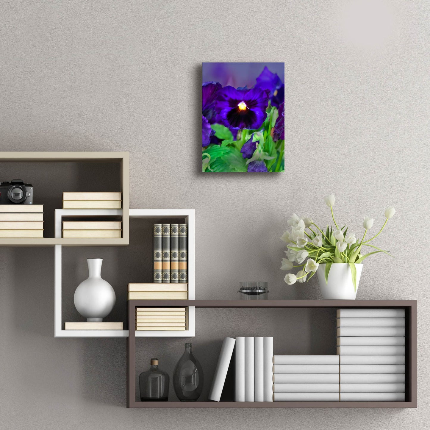 Epic Art 'African Pan Orchid' by Dana Brett Munach, Acrylic Glass Wall Art,12x16