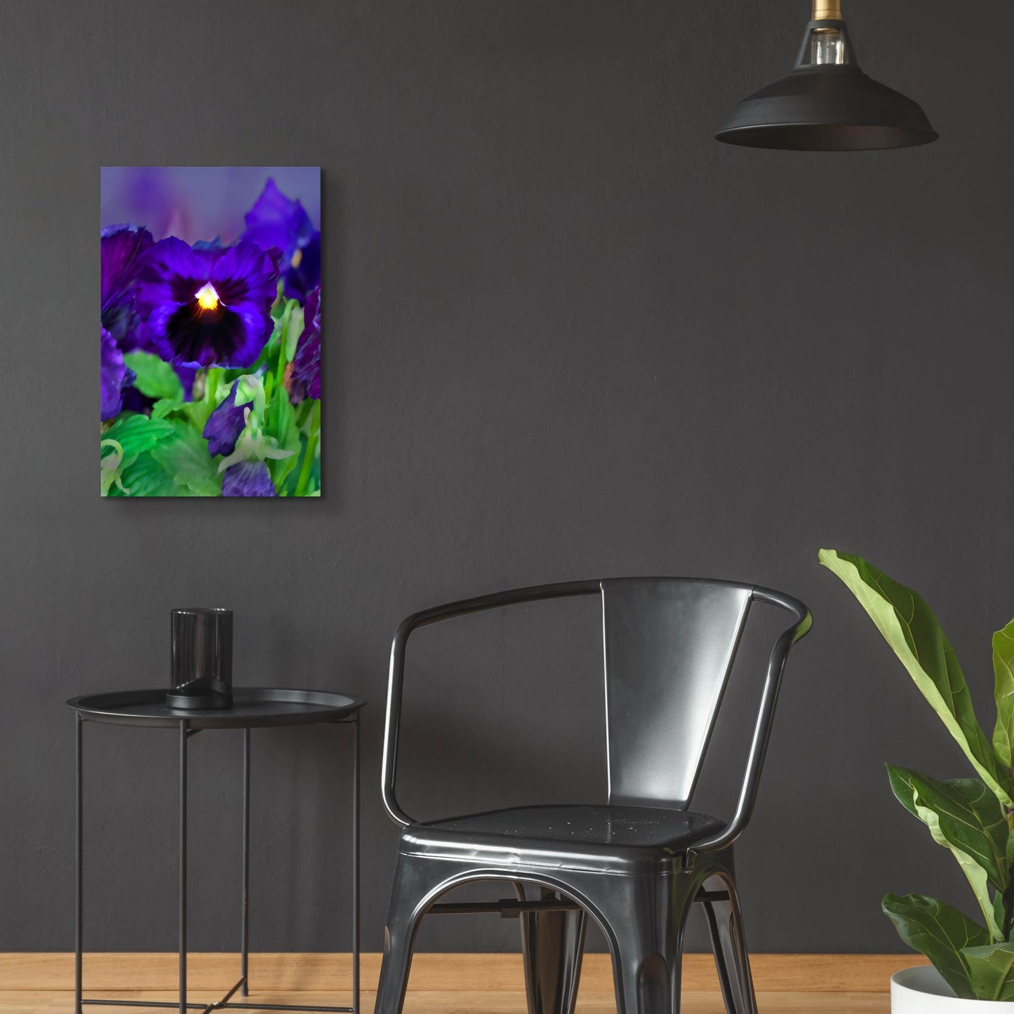 Epic Art 'African Pan Orchid' by Dana Brett Munach, Acrylic Glass Wall Art,16x24