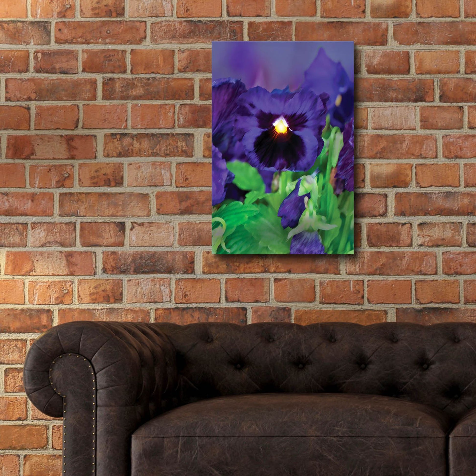 Epic Art 'African Pan Orchid' by Dana Brett Munach, Acrylic Glass Wall Art,16x24