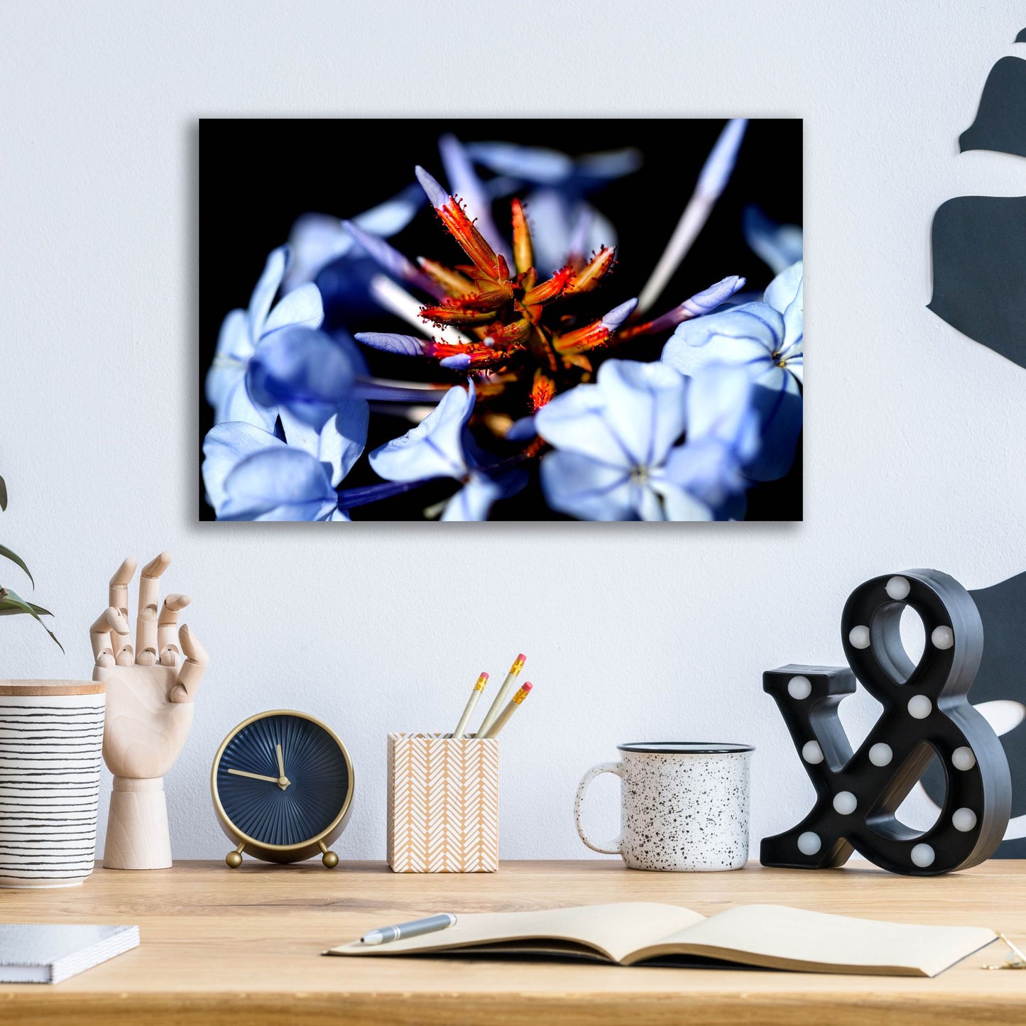 Epic Art 'Blue And Orange Flower' by Dana Brett Munach, Acrylic Glass Wall Art,16x12