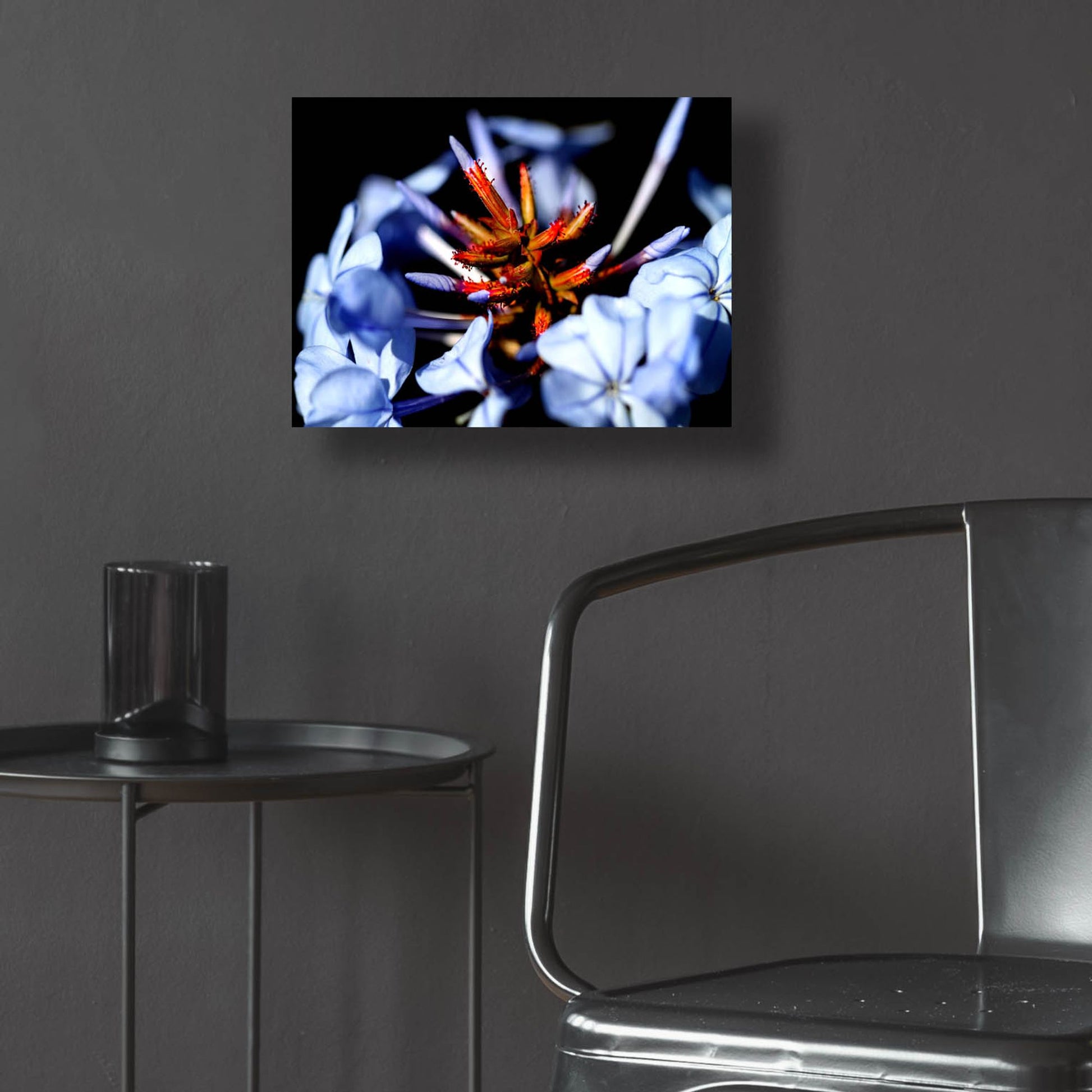 Epic Art 'Blue And Orange Flower' by Dana Brett Munach, Acrylic Glass Wall Art,16x12