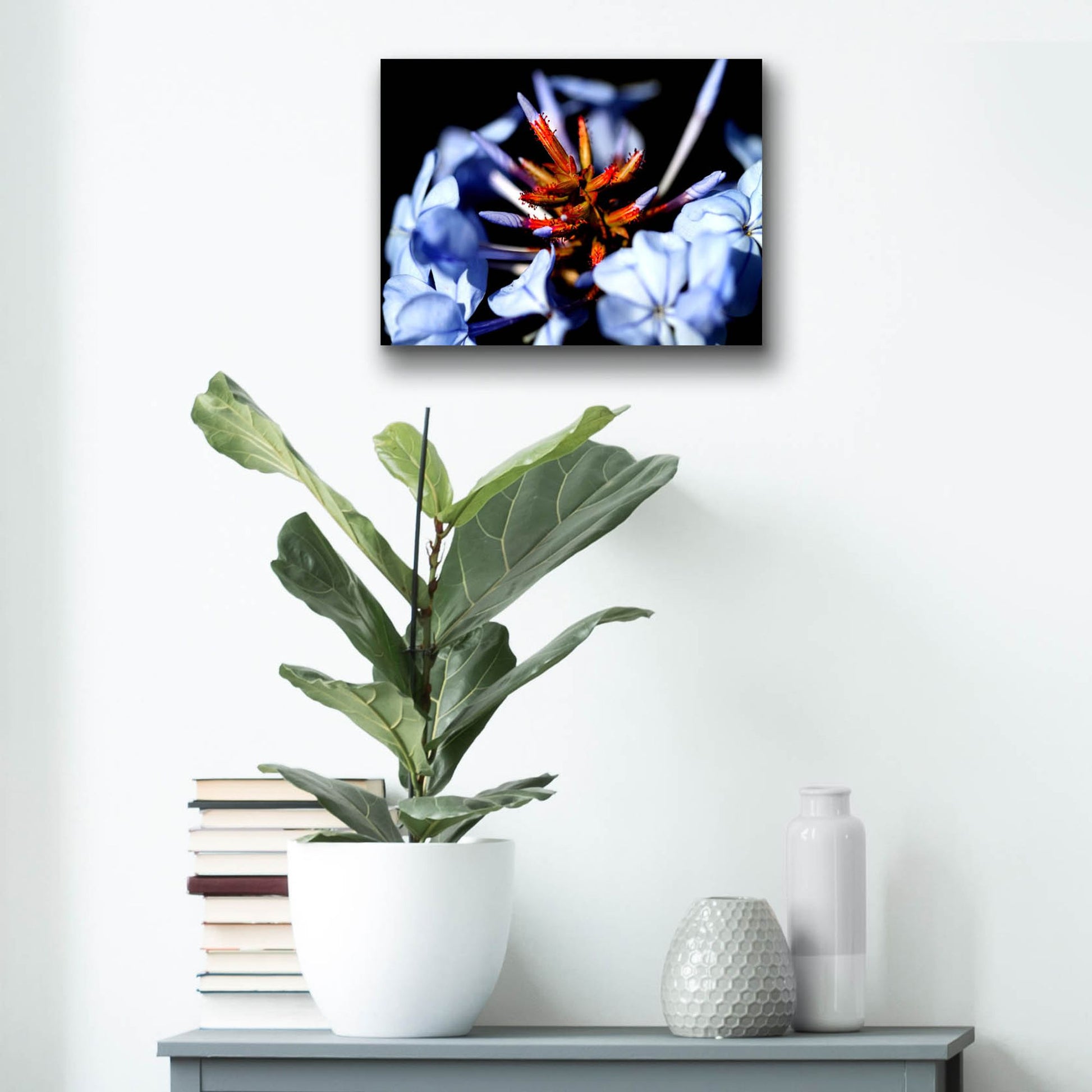 Epic Art 'Blue And Orange Flower' by Dana Brett Munach, Acrylic Glass Wall Art,16x12