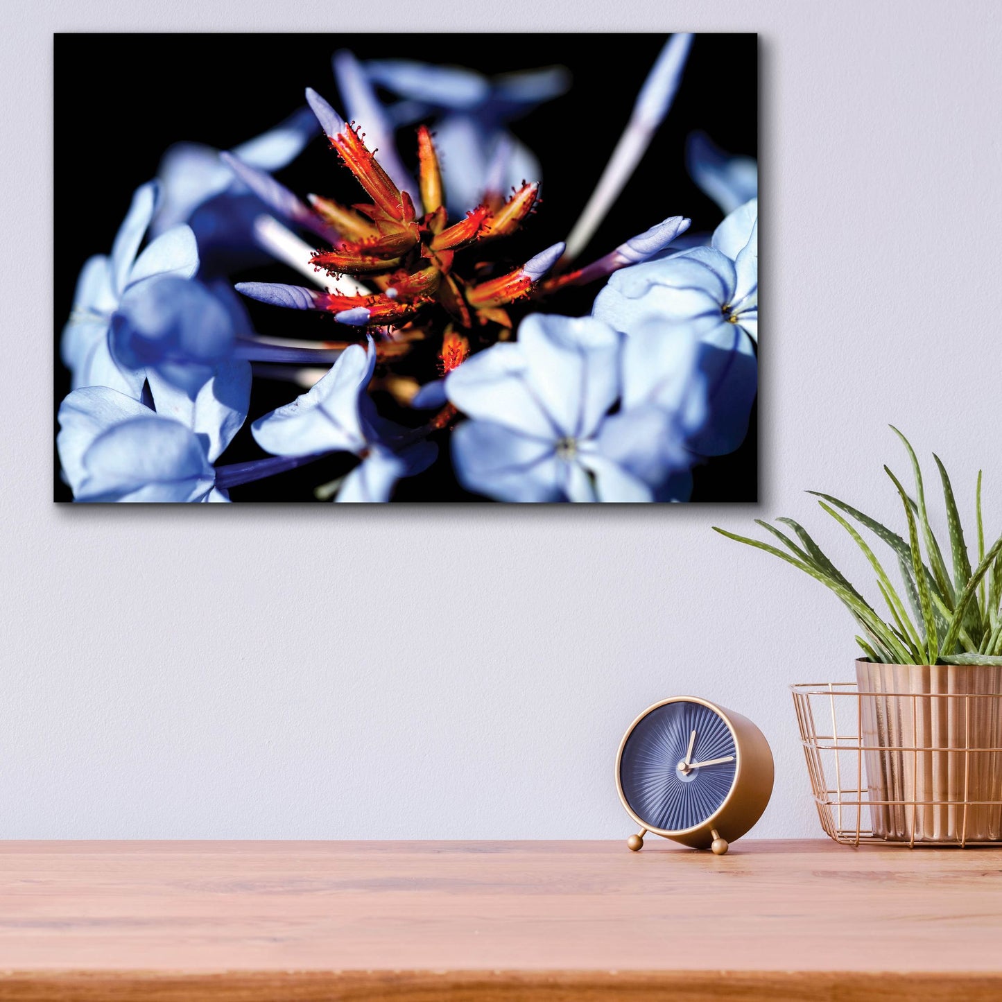 Epic Art 'Blue And Orange Flower' by Dana Brett Munach, Acrylic Glass Wall Art,16x12