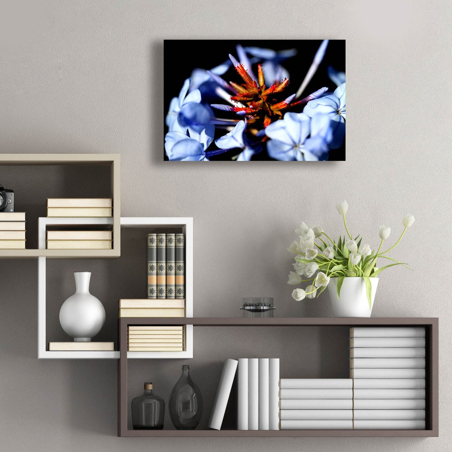 Epic Art 'Blue And Orange Flower' by Dana Brett Munach, Acrylic Glass Wall Art,24x16