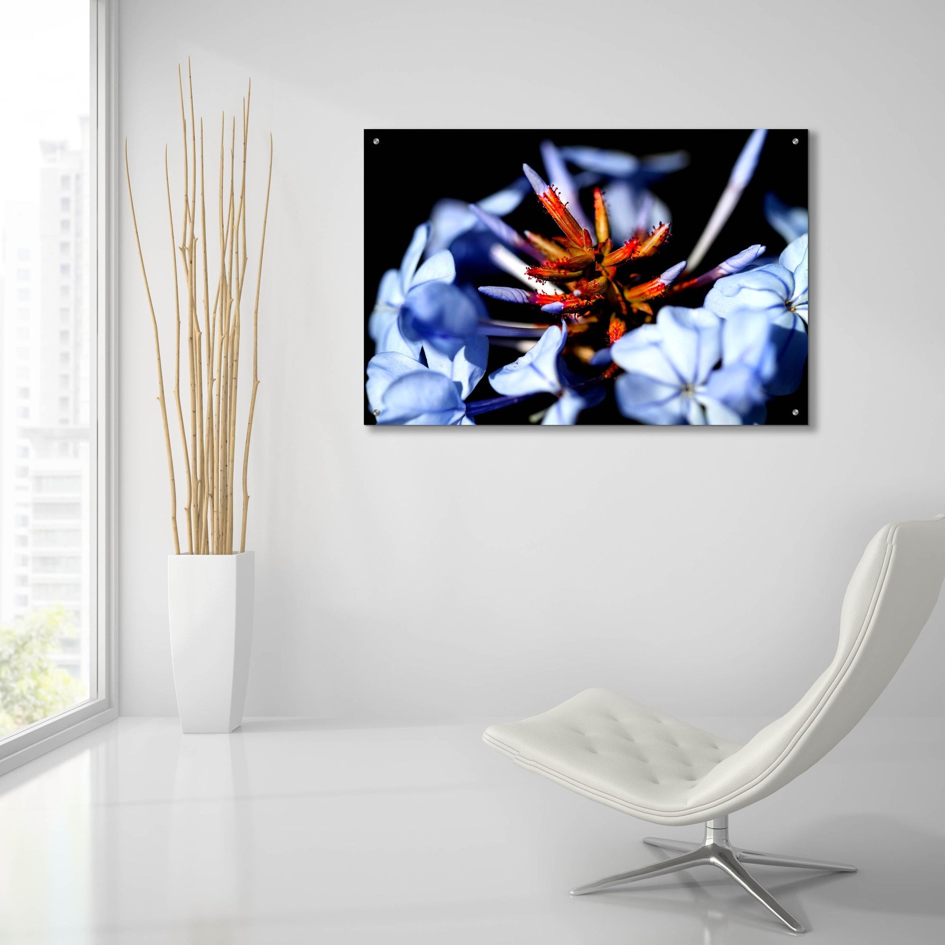 Epic Art 'Blue And Orange Flower' by Dana Brett Munach, Acrylic Glass Wall Art,36x24