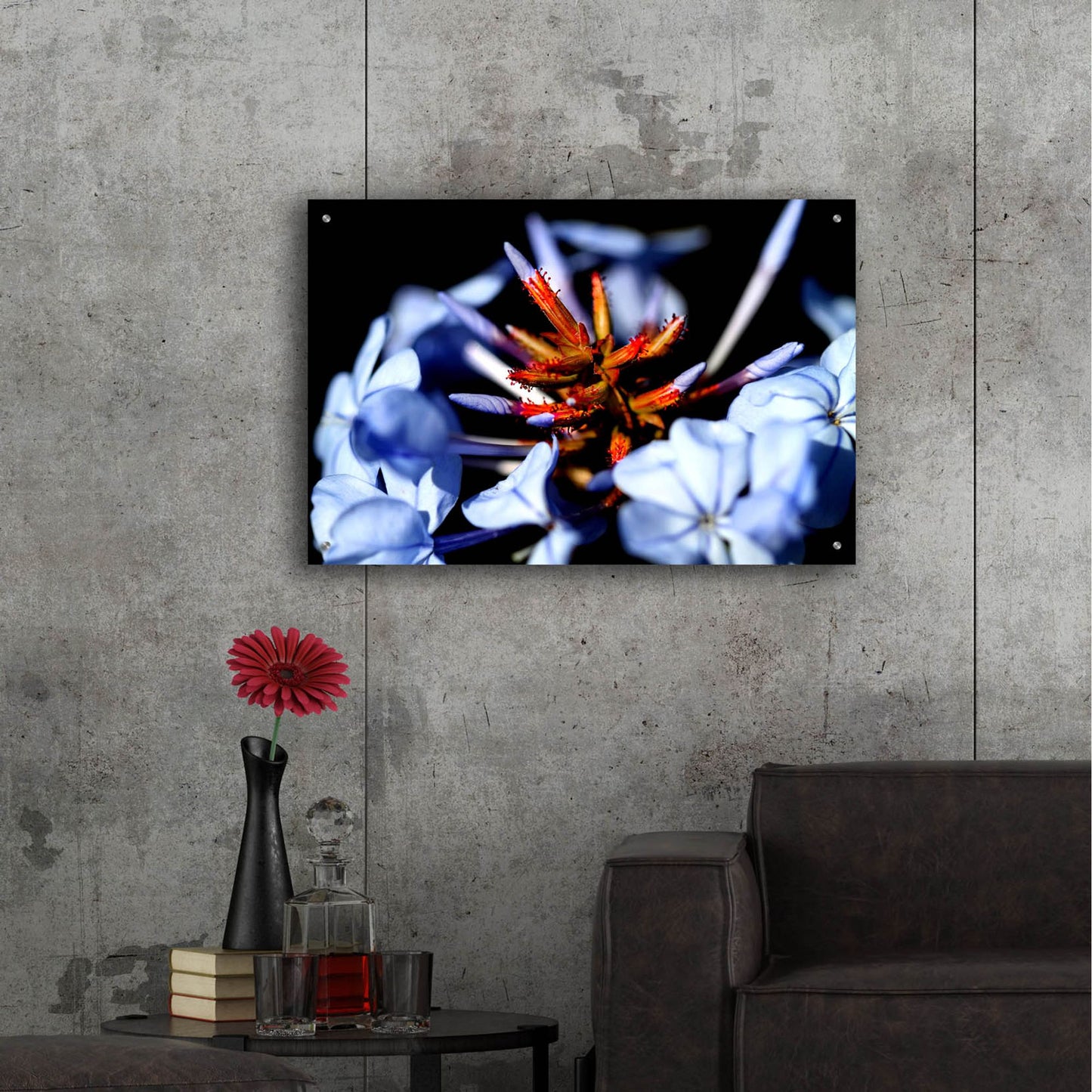 Epic Art 'Blue And Orange Flower' by Dana Brett Munach, Acrylic Glass Wall Art,36x24