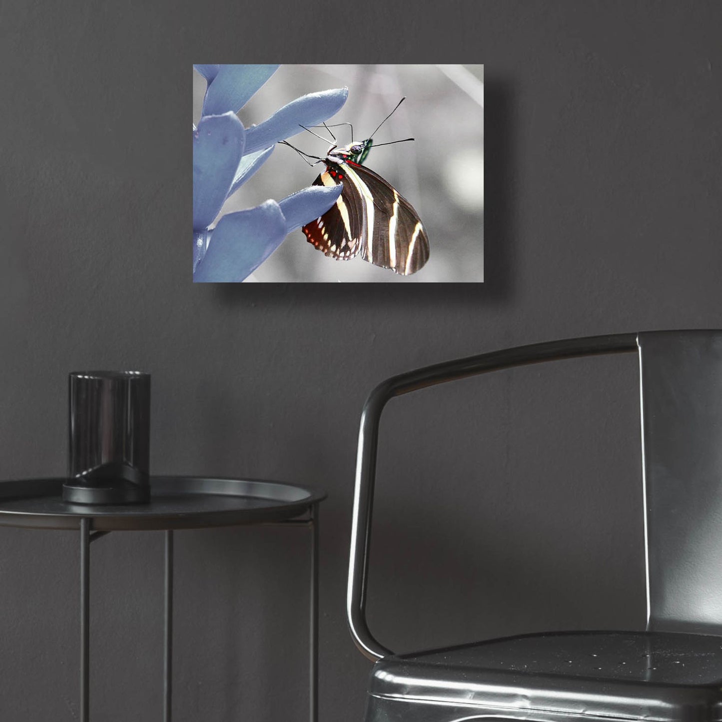 Epic Art 'Butterfly' by Dana Brett Munach, Acrylic Glass Wall Art,16x12