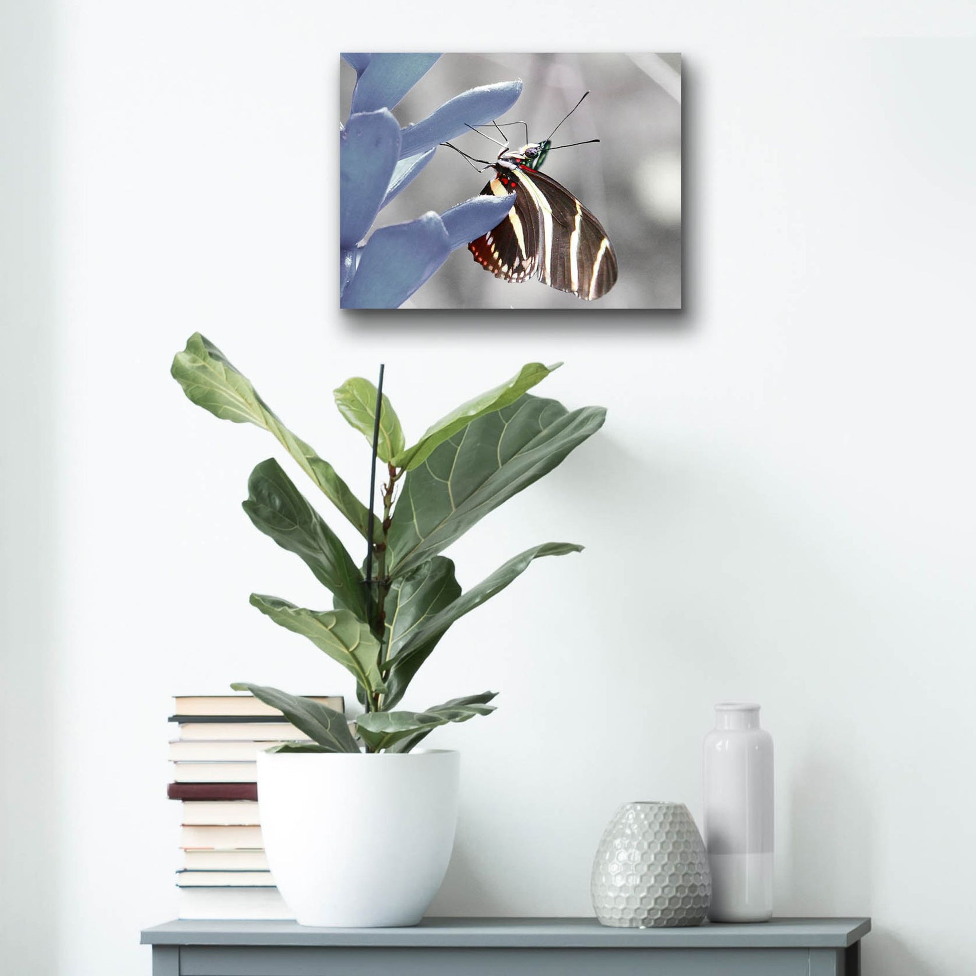 Epic Art 'Butterfly' by Dana Brett Munach, Acrylic Glass Wall Art,16x12